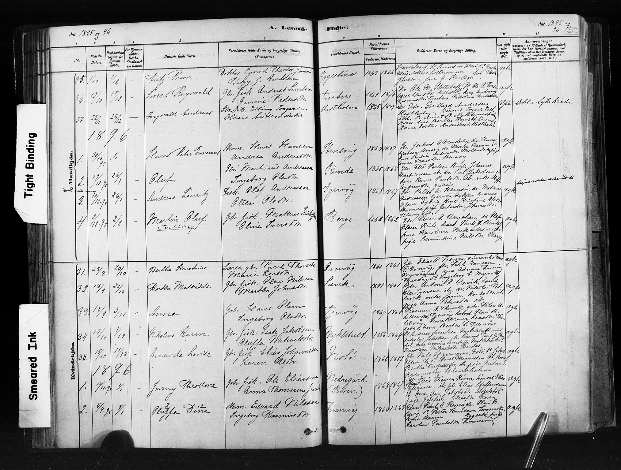 Ministerialprotokoller, klokkerbøker og fødselsregistre - Møre og Romsdal, AV/SAT-A-1454/507/L0073: Parish register (official) no. 507A08, 1878-1904, p. 125