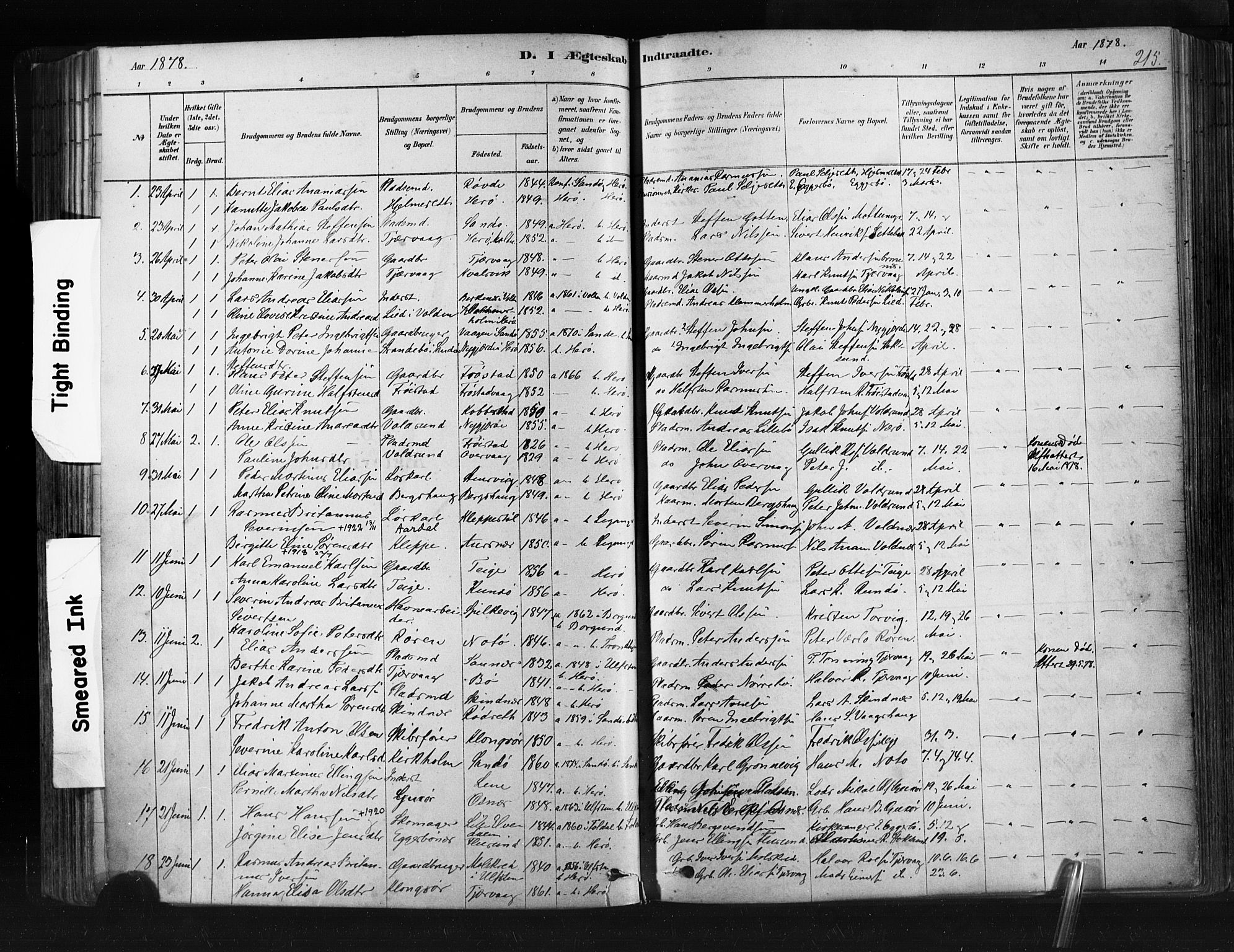 Ministerialprotokoller, klokkerbøker og fødselsregistre - Møre og Romsdal, AV/SAT-A-1454/507/L0073: Parish register (official) no. 507A08, 1878-1904, p. 215