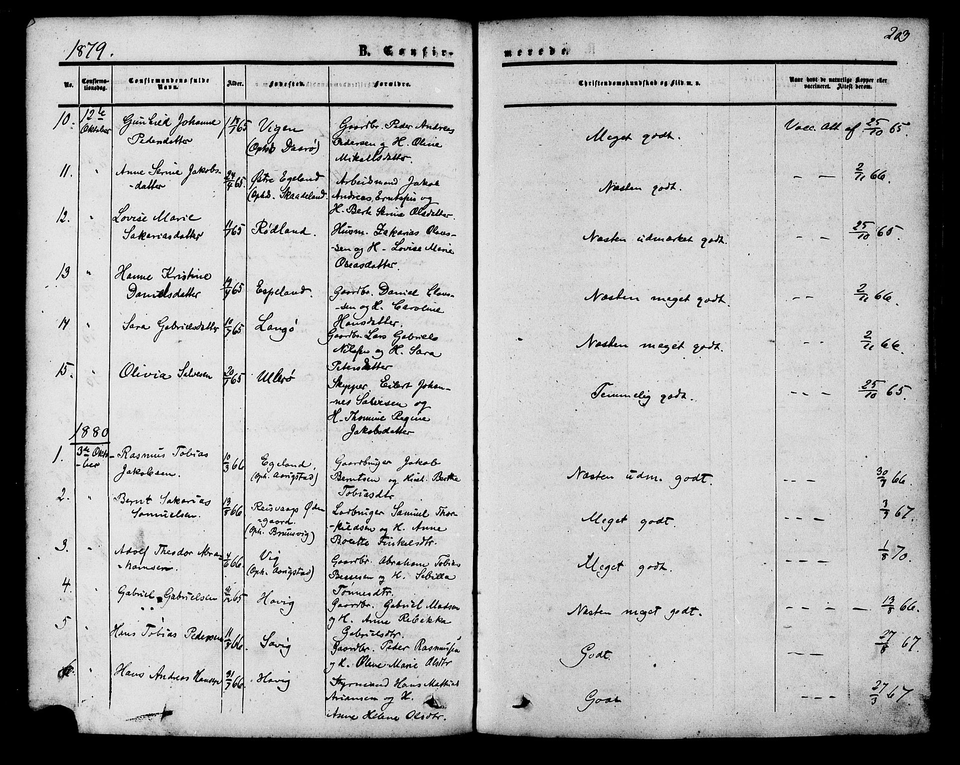 Herad sokneprestkontor, SAK/1111-0018/F/Fa/Fab/L0004: Parish register (official) no. A 4, 1853-1885, p. 203