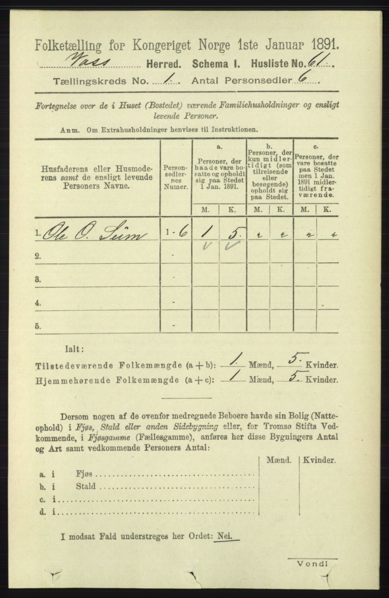 RA, 1891 census for 1235 Voss, 1891, p. 100