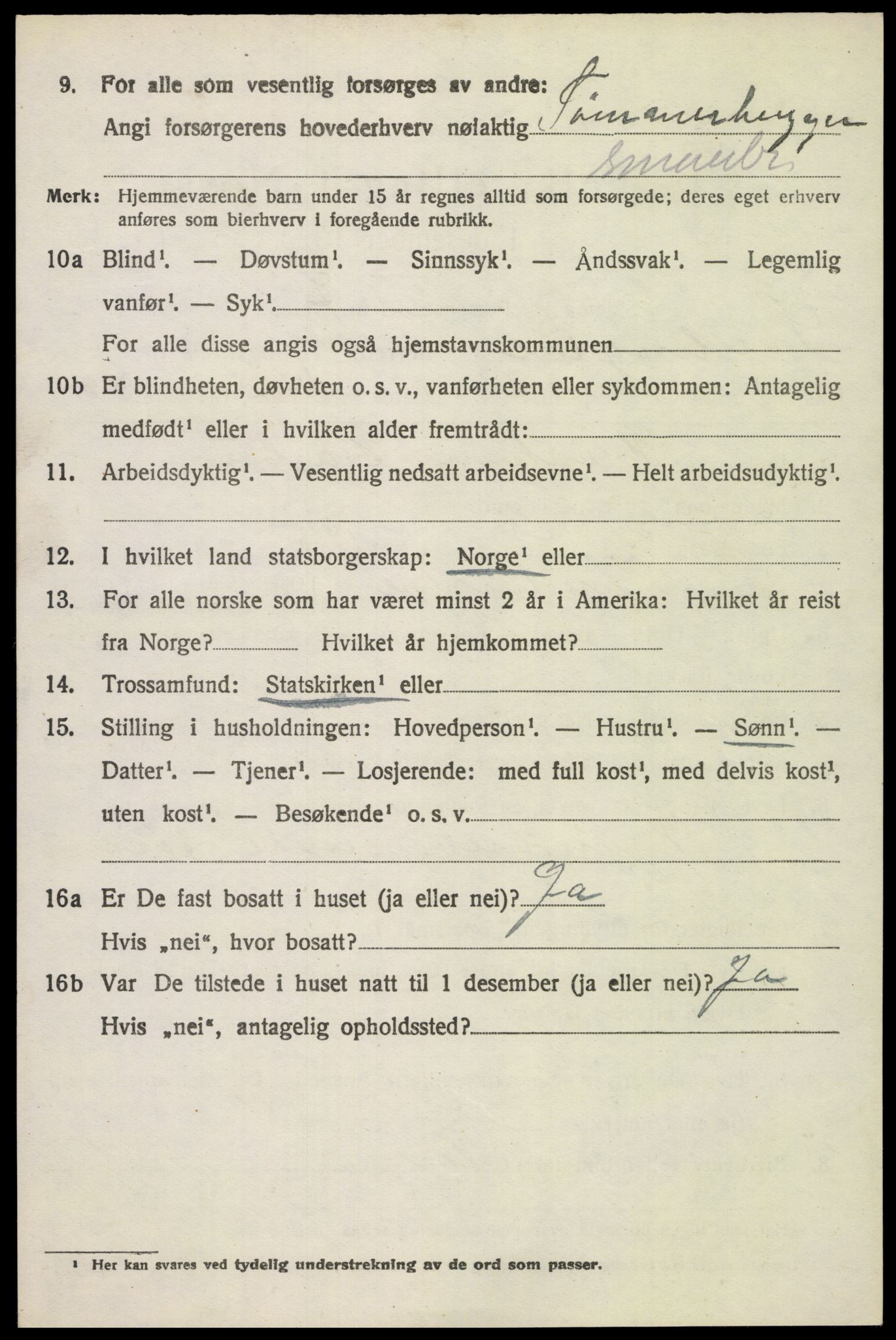 SAH, 1920 census for Snertingdal, 1920, p. 4690