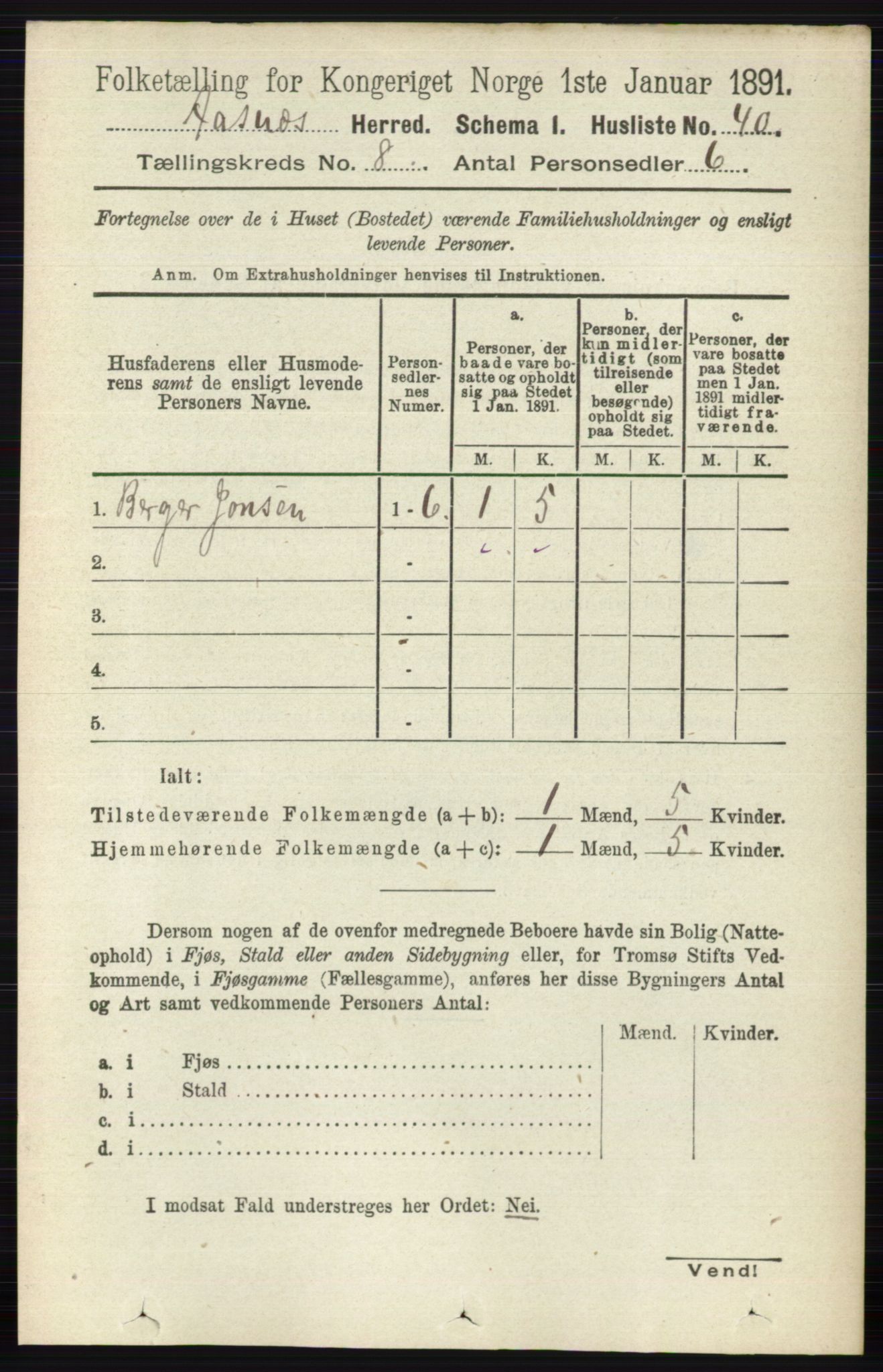 RA, 1891 census for 0425 Åsnes, 1891, p. 4161