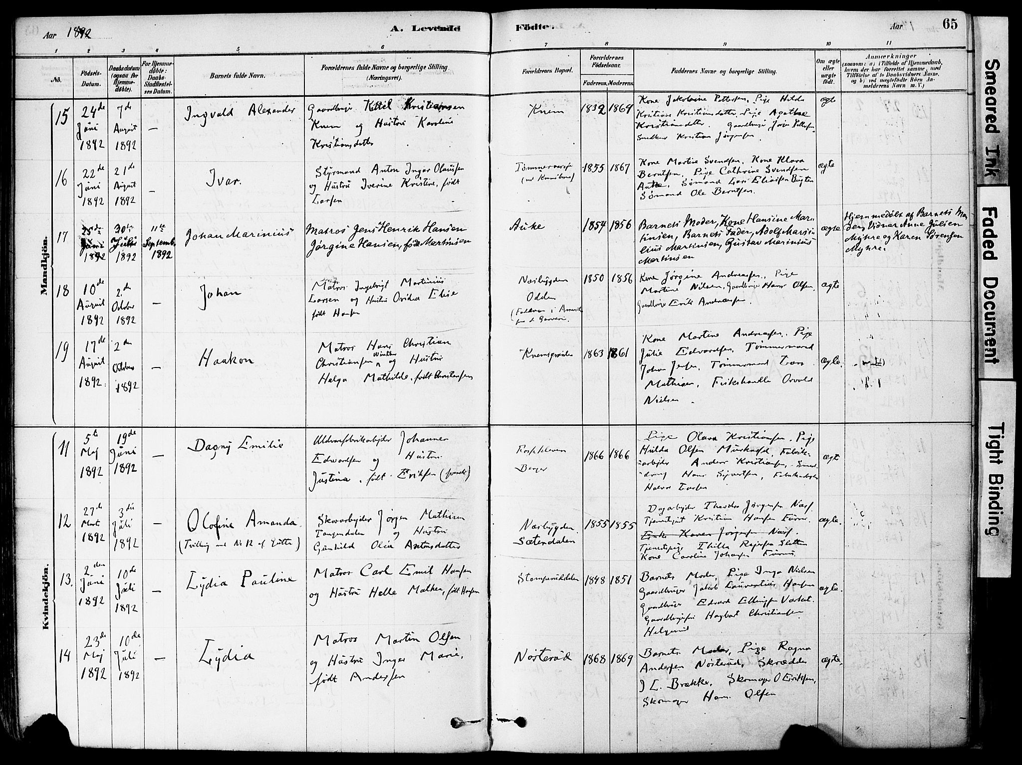 Strømm kirkebøker, AV/SAKO-A-322/F/Fa/L0004: Parish register (official) no. I 4, 1878-1899, p. 65