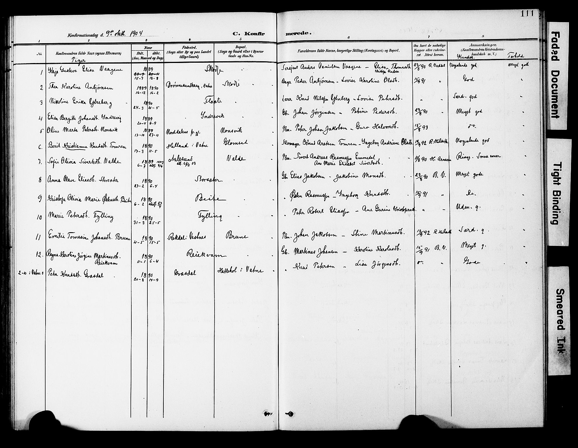 Ministerialprotokoller, klokkerbøker og fødselsregistre - Møre og Romsdal, AV/SAT-A-1454/524/L0366: Parish register (copy) no. 524C07, 1900-1931, p. 111