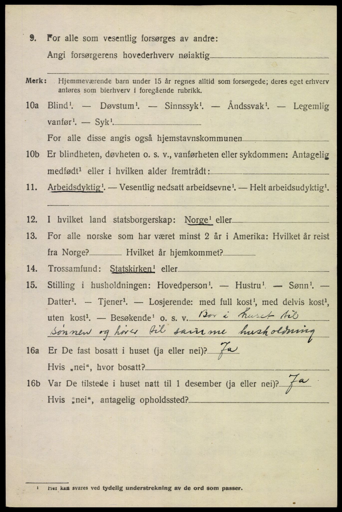 SAK, 1920 census for Nes (V-A), 1920, p. 1377