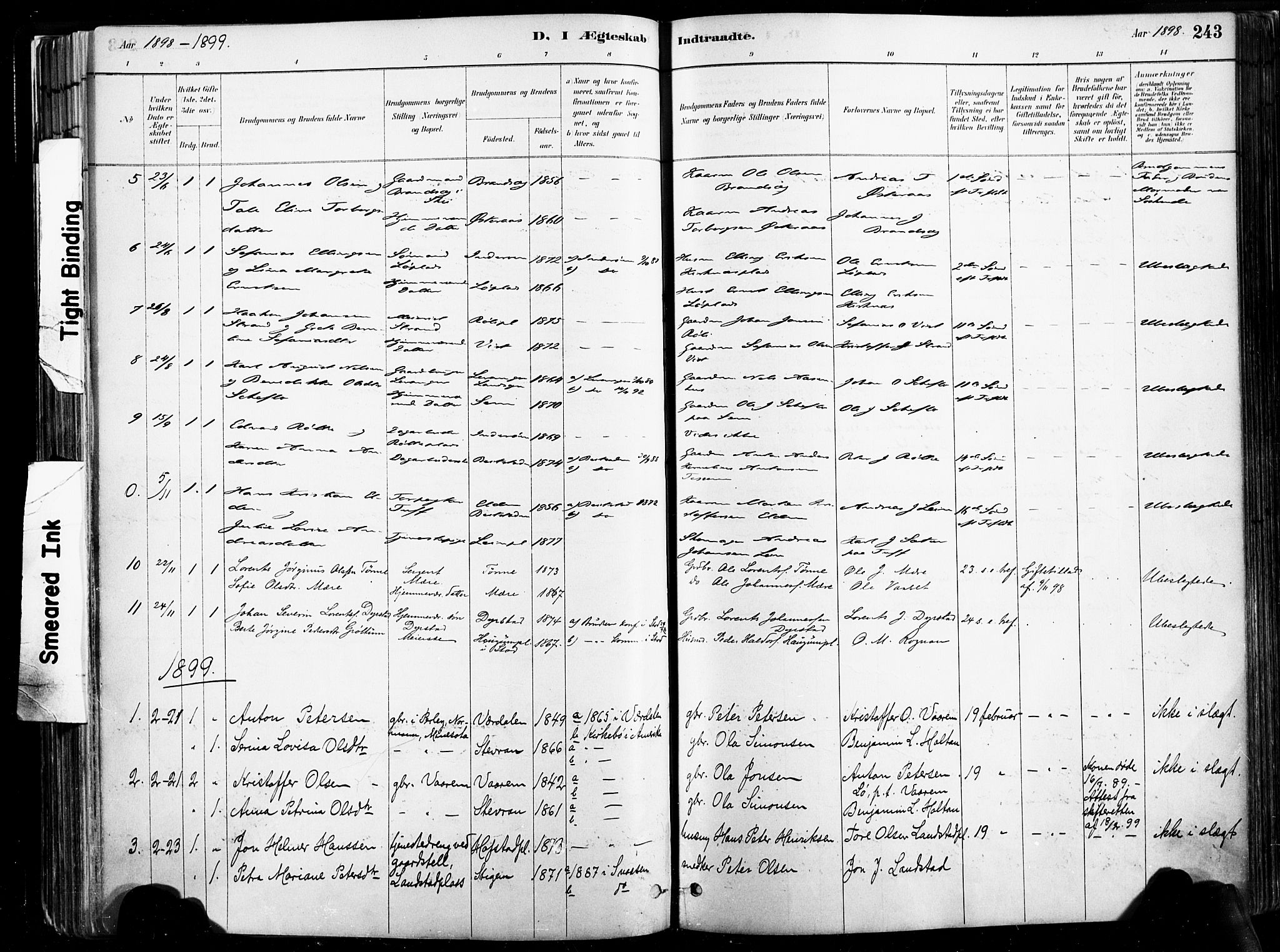 Ministerialprotokoller, klokkerbøker og fødselsregistre - Nord-Trøndelag, AV/SAT-A-1458/735/L0351: Parish register (official) no. 735A10, 1884-1908, p. 243