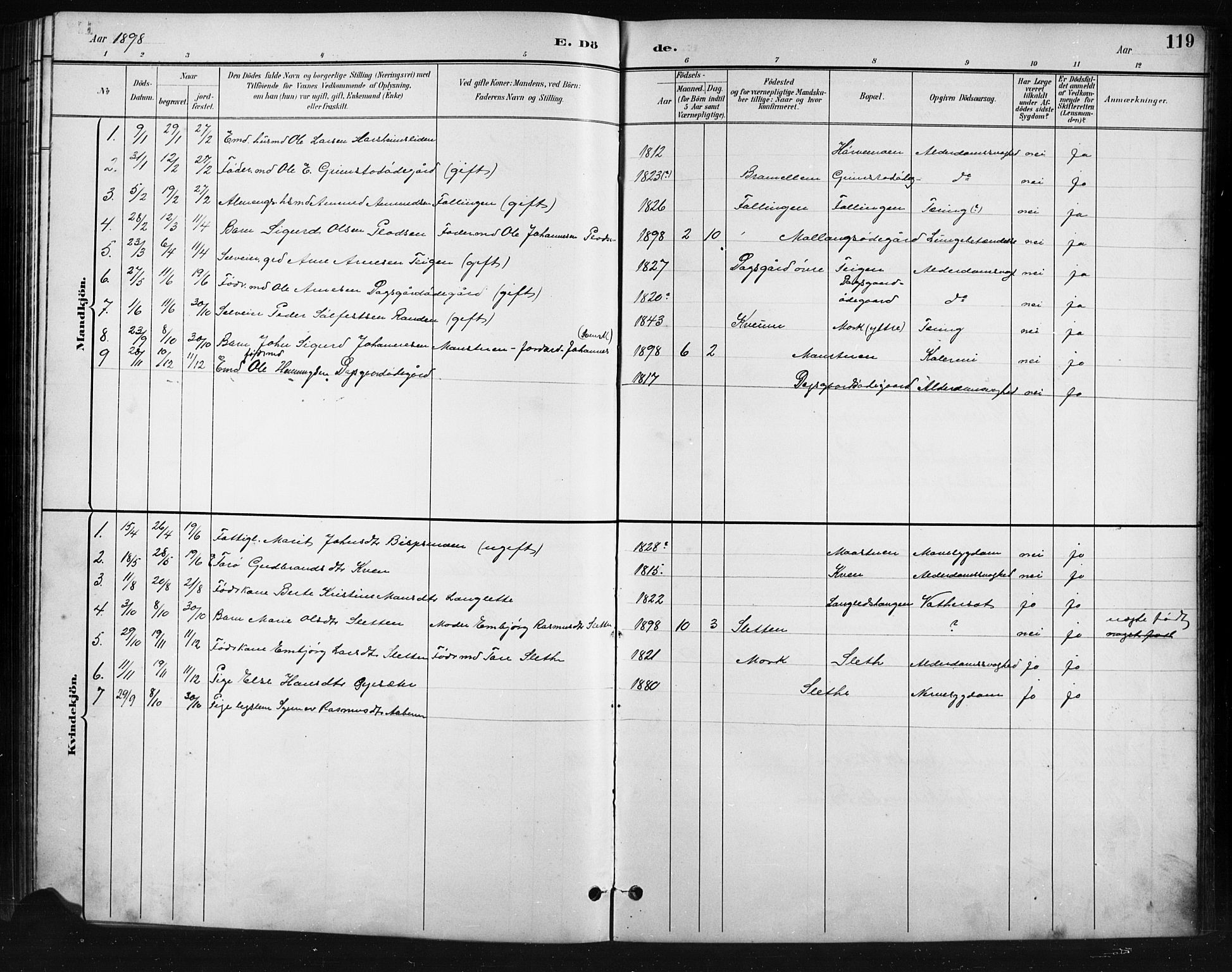 Skjåk prestekontor, SAH/PREST-072/H/Ha/Hab/L0004: Parish register (copy) no. 4, 1895-1921, p. 119