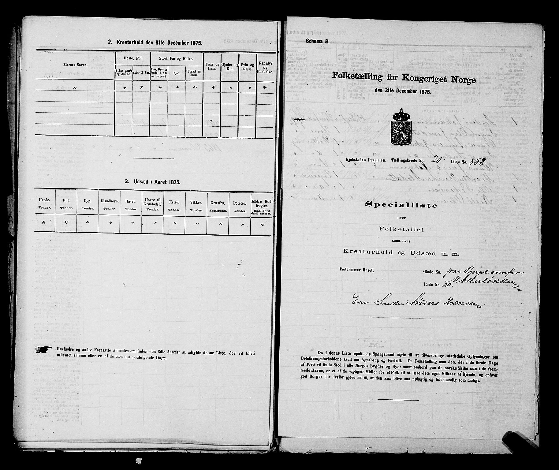 SAKO, 1875 census for 0602 Drammen, 1875, p. 2103