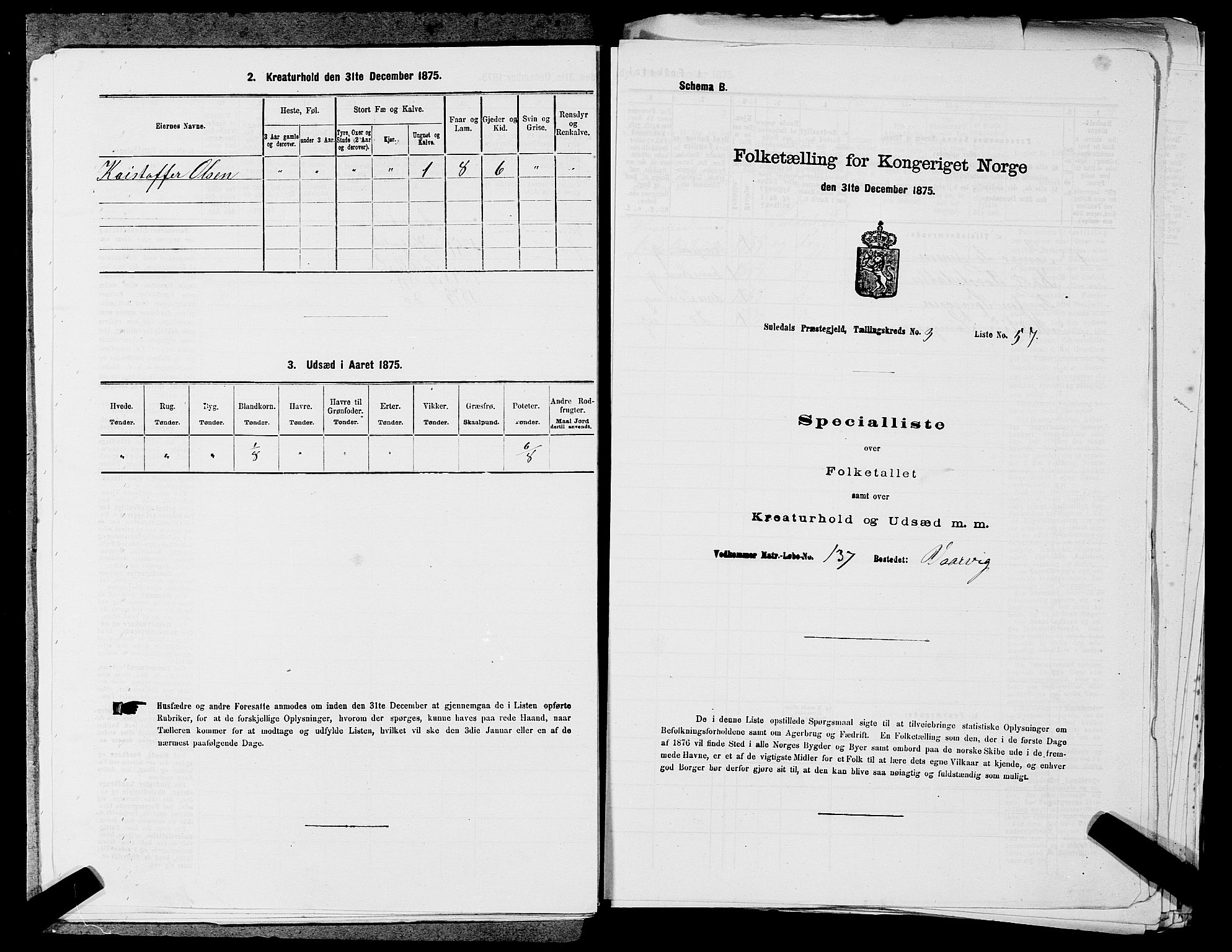 SAST, 1875 census for 1134P Suldal, 1875, p. 495