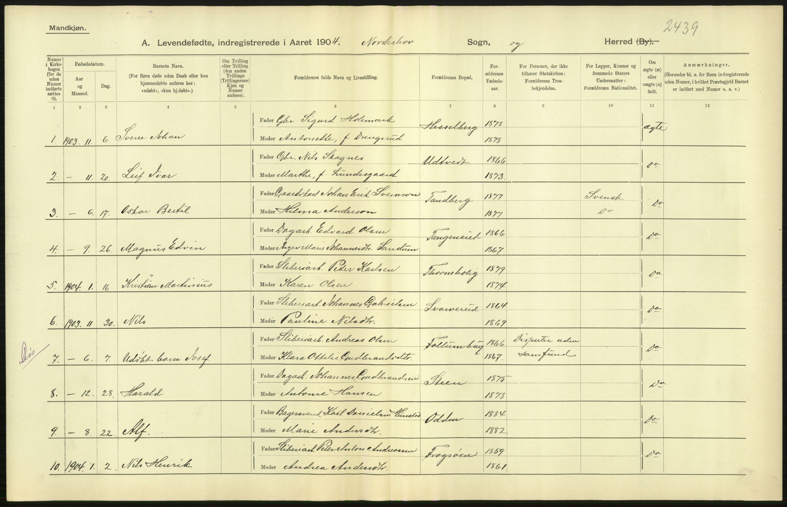 Statistisk sentralbyrå, Sosiodemografiske emner, Befolkning, AV/RA-S-2228/D/Df/Dfa/Dfab/L0007: Buskerud amt: Fødte, gifte, døde, 1904, p. 19