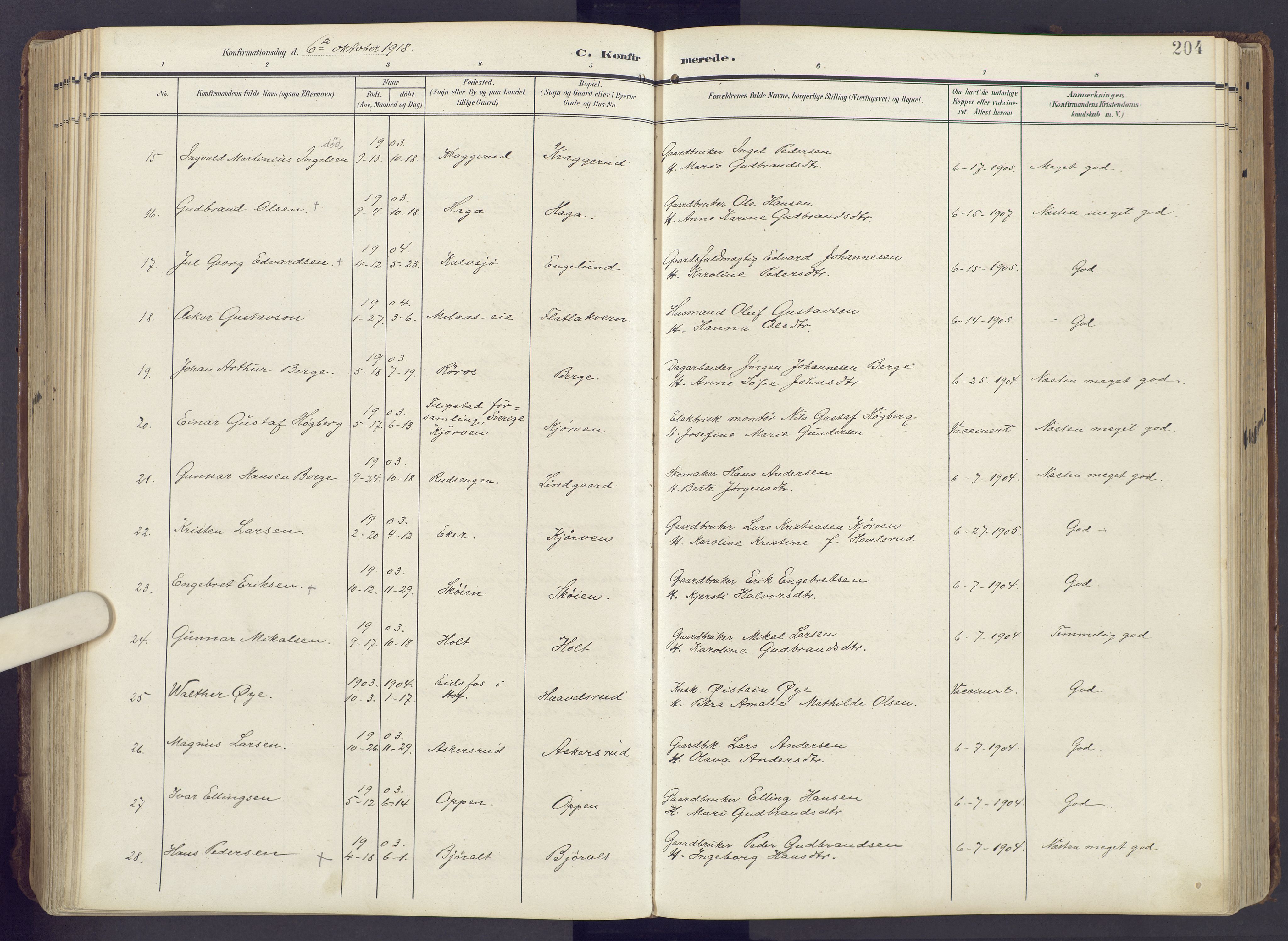 Lunner prestekontor, AV/SAH-PREST-118/H/Ha/Haa/L0001: Parish register (official) no. 1, 1907-1922, p. 204