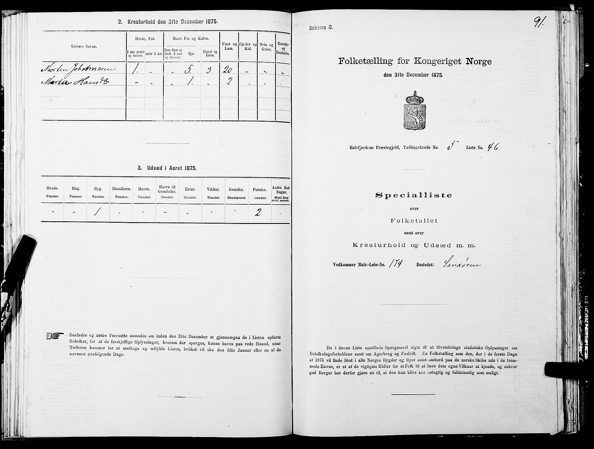 SATØ, 1875 census for 1933P Balsfjord, 1875, p. 3091