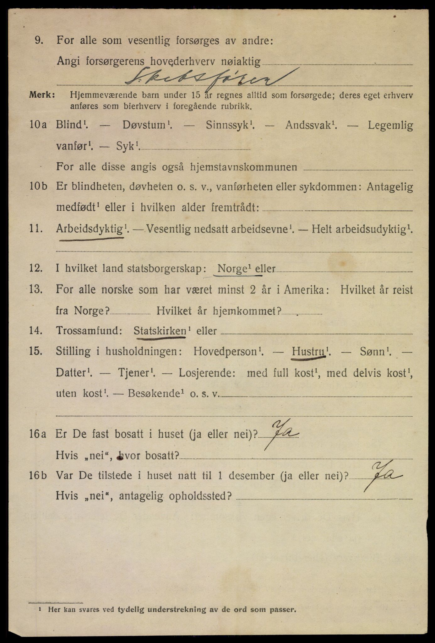 SAKO, 1920 census for Kragerø, 1920, p. 9070