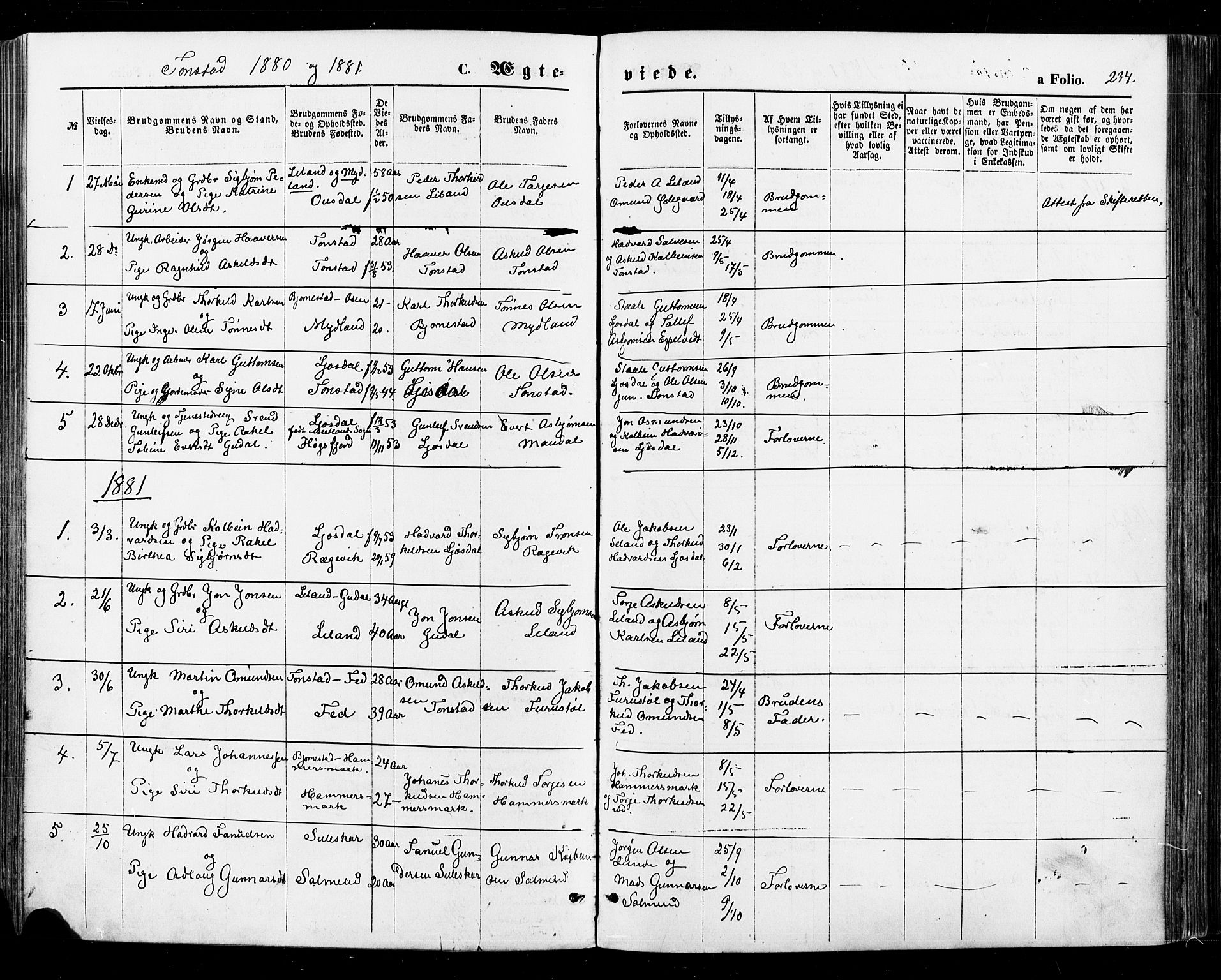 Sirdal sokneprestkontor, SAK/1111-0036/F/Fa/Fab/L0003: Parish register (official) no. A 3, 1874-1886, p. 234
