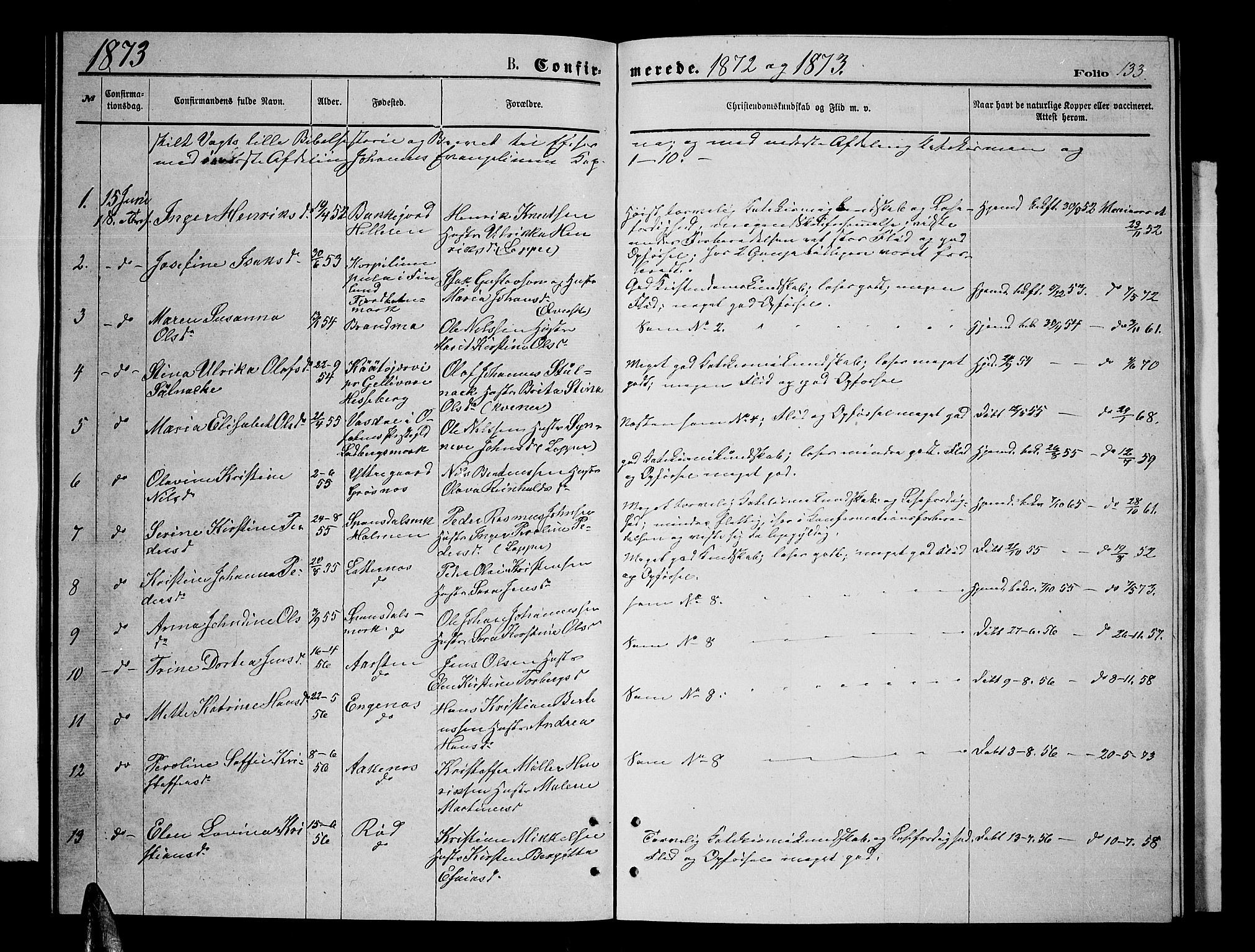 Ibestad sokneprestembete, SATØ/S-0077/H/Ha/Hab/L0006klokker: Parish register (copy) no. 6, 1871-1879, p. 133