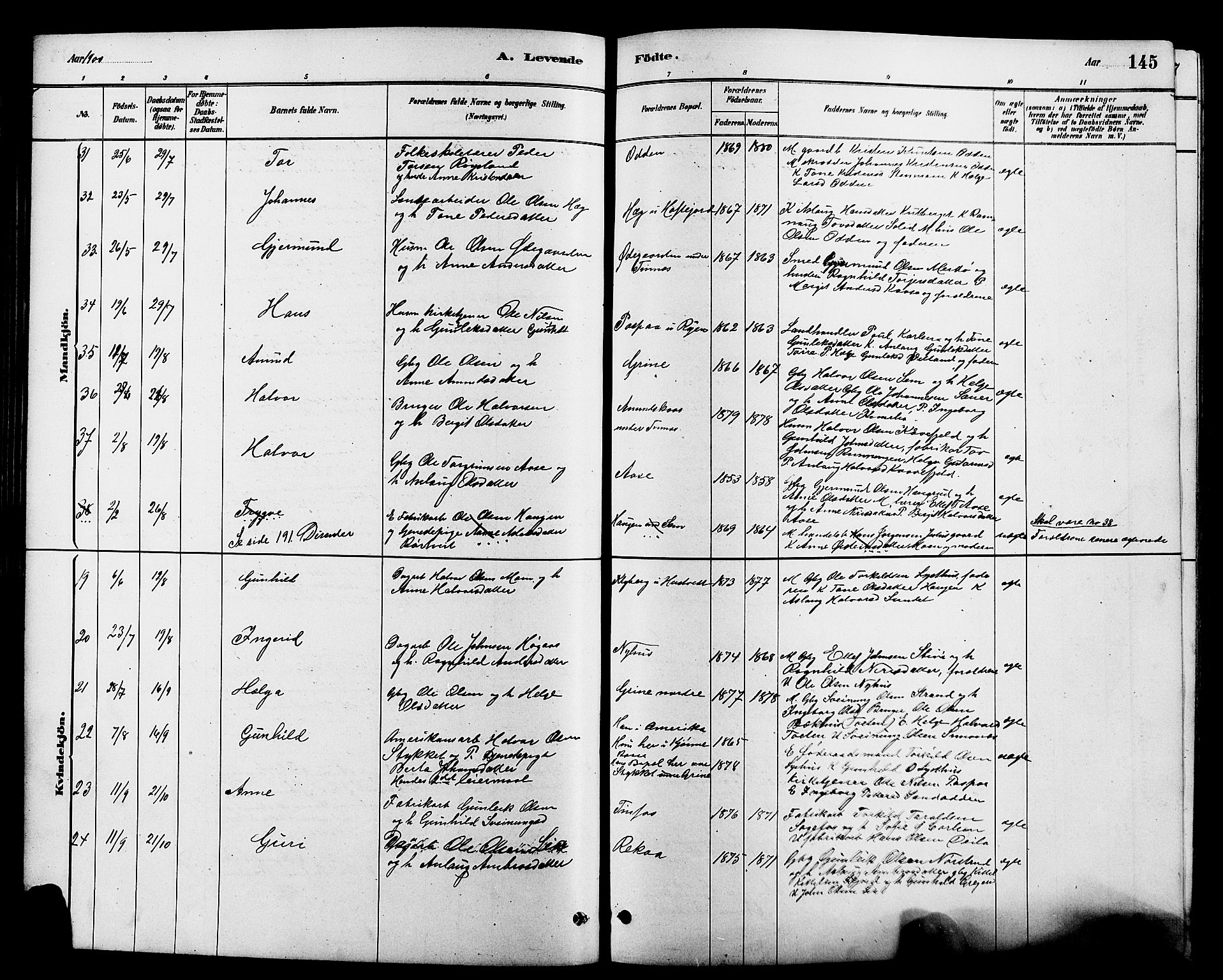 Heddal kirkebøker, AV/SAKO-A-268/G/Ga/L0002: Parish register (copy) no. I 2, 1879-1908, p. 145