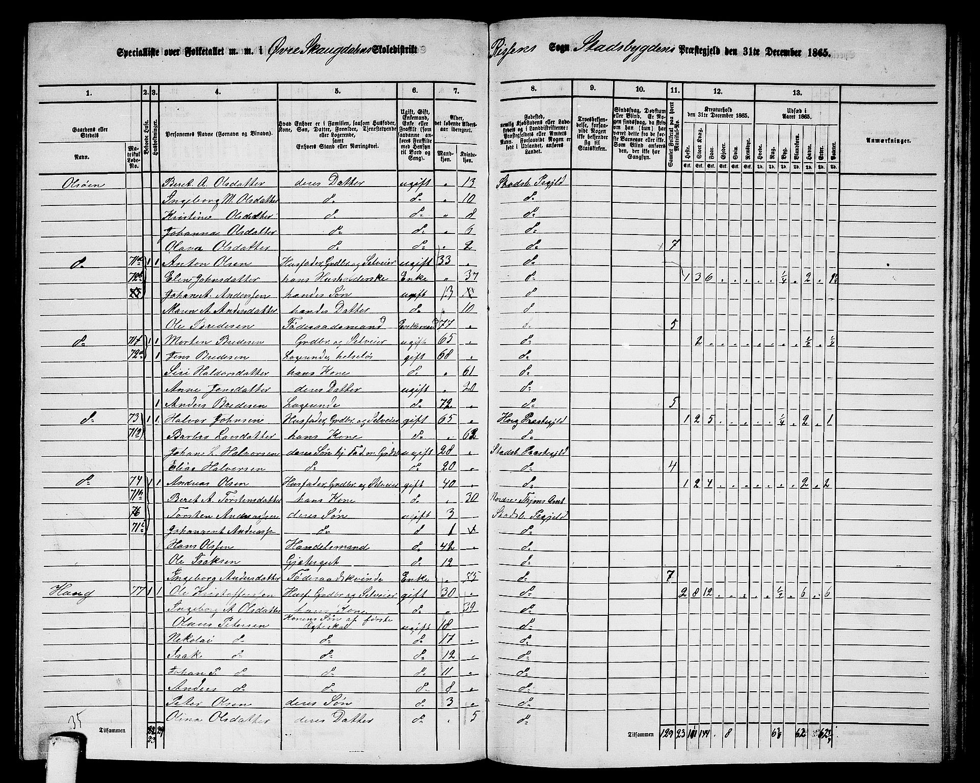 RA, 1865 census for Stadsbygd, 1865, p. 160