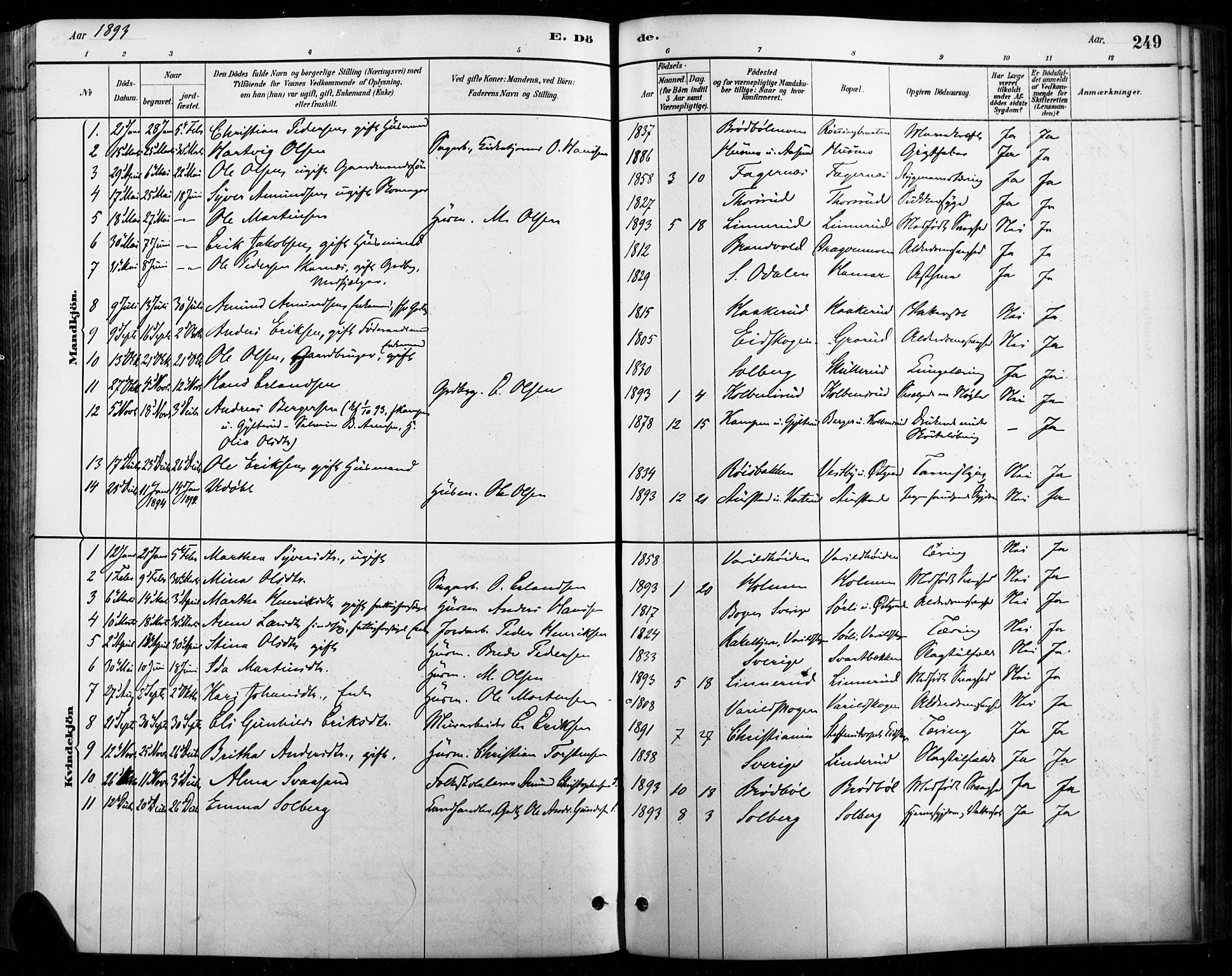 Vinger prestekontor, AV/SAH-PREST-024/H/Ha/Haa/L0015: Parish register (official) no. 15, 1881-1900, p. 249