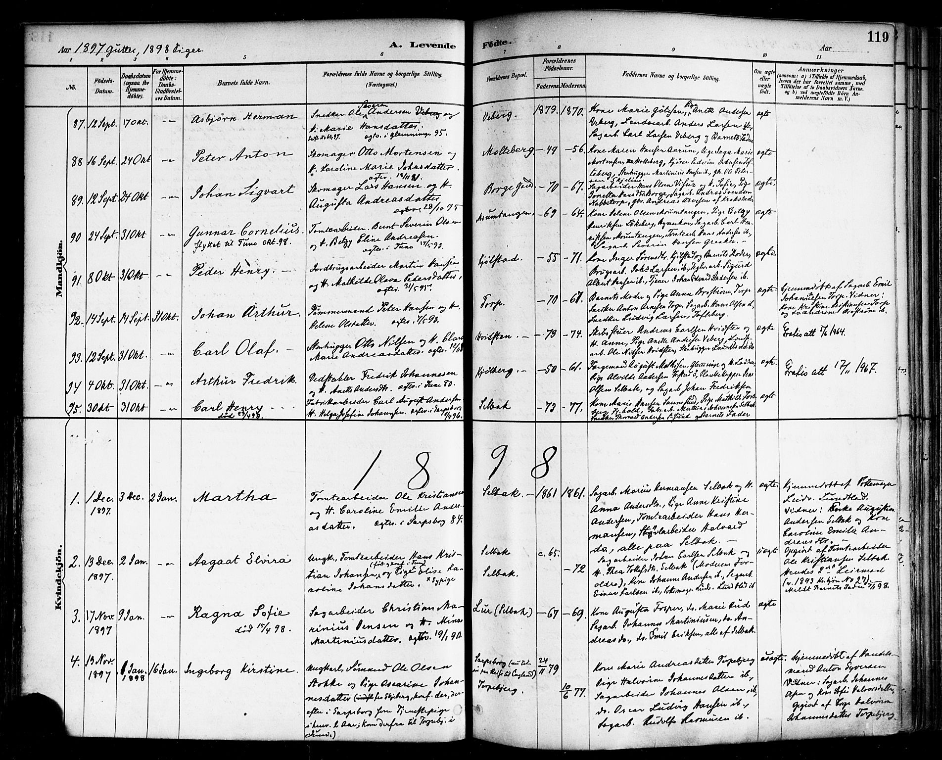 Borge prestekontor Kirkebøker, SAO/A-10903/F/Fa/L0008: Parish register (official) no. I 8A, 1887-1902, p. 119