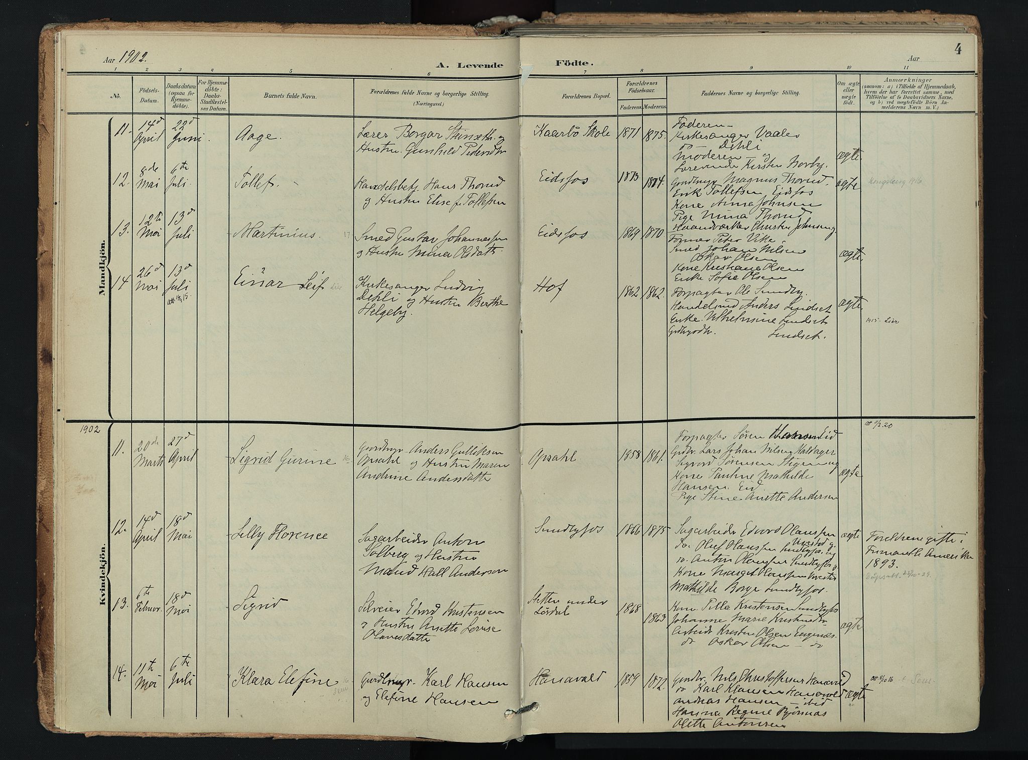 Hof kirkebøker, AV/SAKO-A-64/F/Fa/L0008: Parish register (official) no. I 8, 1902-1921, p. 4