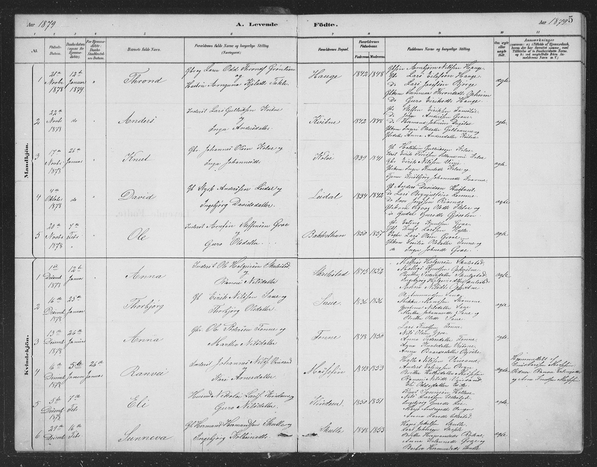 Voss sokneprestembete, SAB/A-79001/H/Hab: Parish register (copy) no. B 3, 1879-1894, p. 5