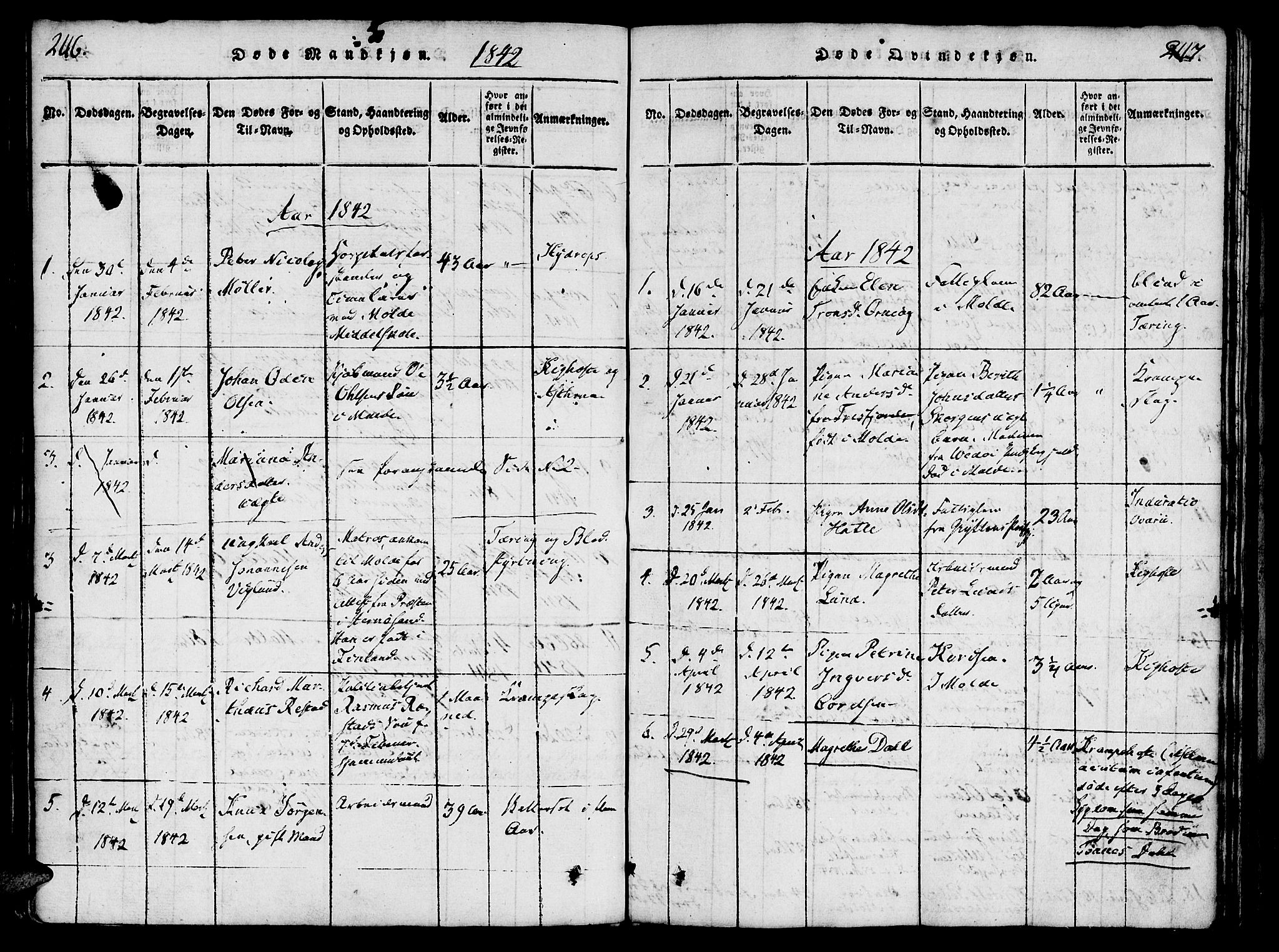Ministerialprotokoller, klokkerbøker og fødselsregistre - Møre og Romsdal, SAT/A-1454/558/L0688: Parish register (official) no. 558A02, 1818-1843, p. 246-247