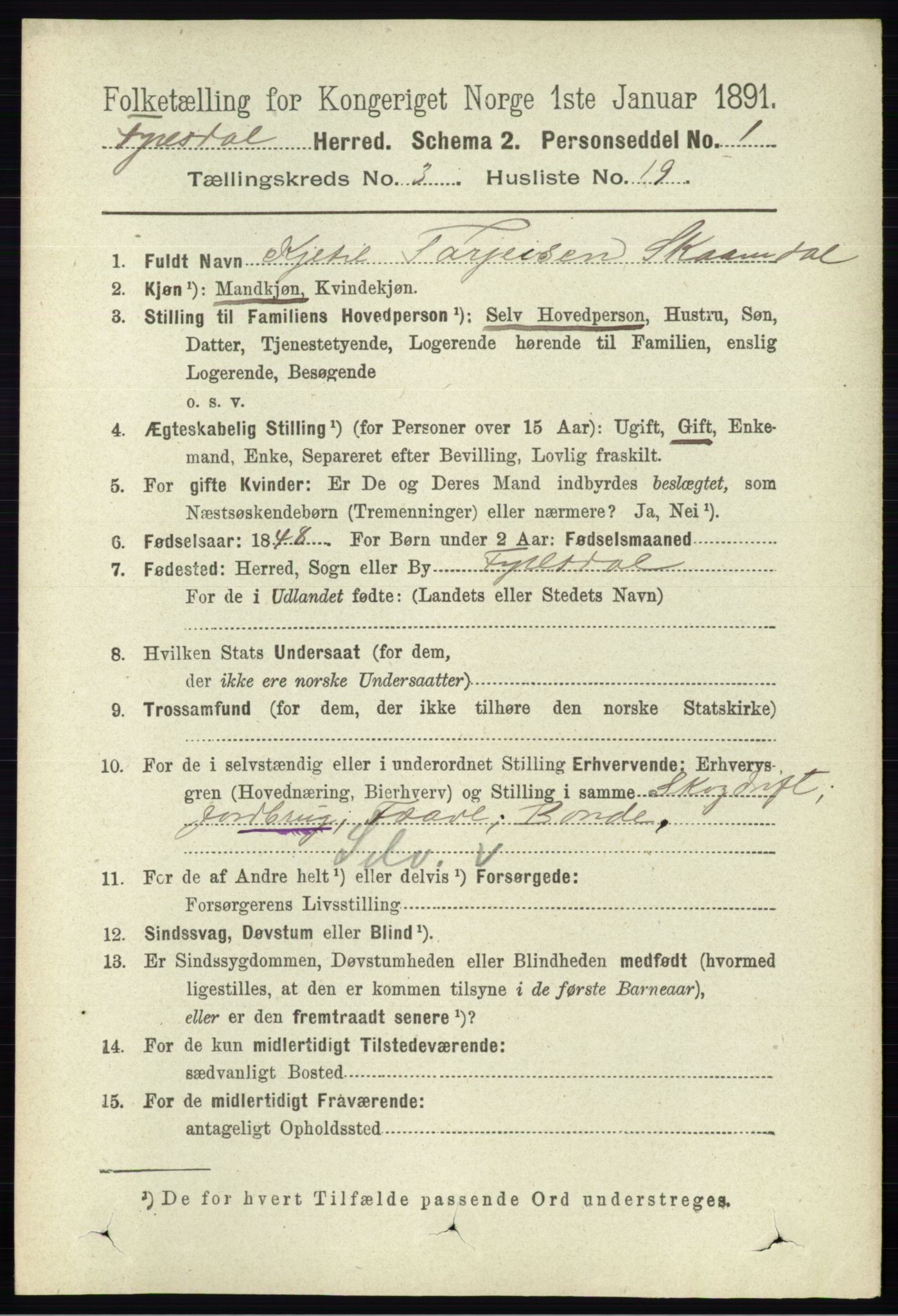 RA, 1891 census for 0831 Fyresdal, 1891, p. 576