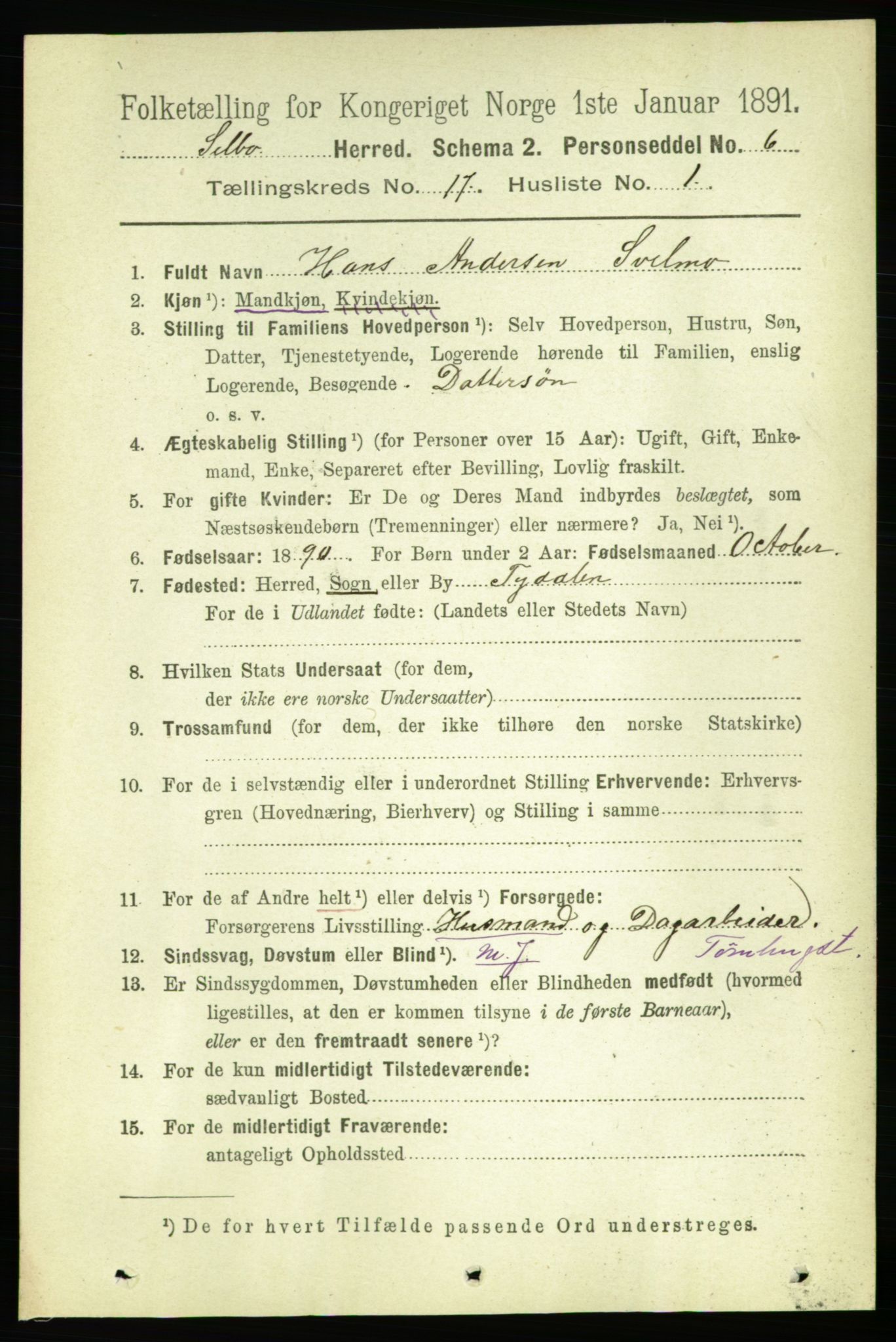 RA, 1891 census for 1664 Selbu, 1891, p. 6064