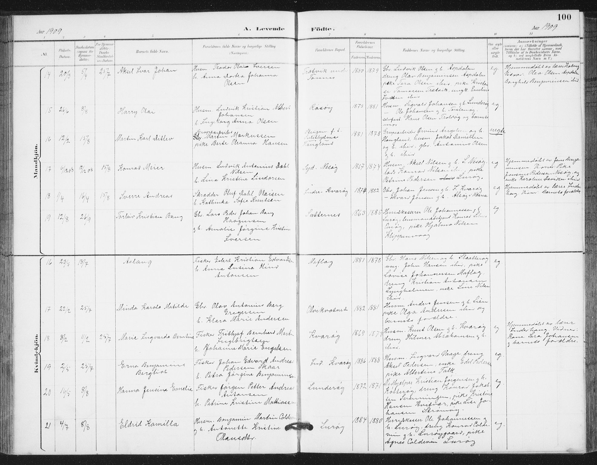 Ministerialprotokoller, klokkerbøker og fødselsregistre - Nordland, AV/SAT-A-1459/839/L0573: Parish register (copy) no. 839C03, 1892-1917, p. 100