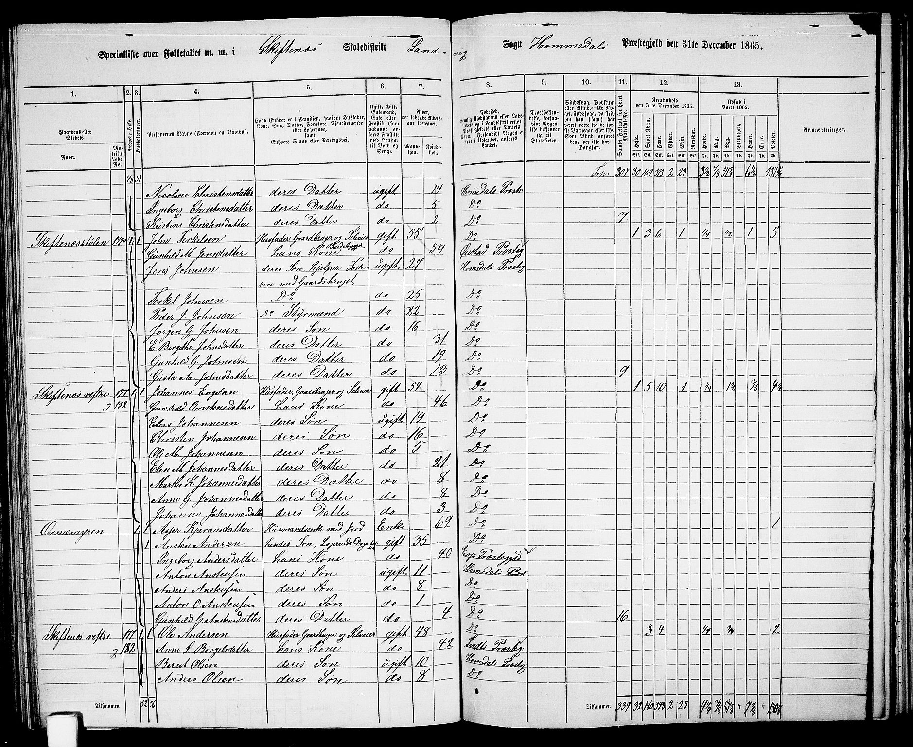 RA, 1865 census for Homedal, 1865, p. 135