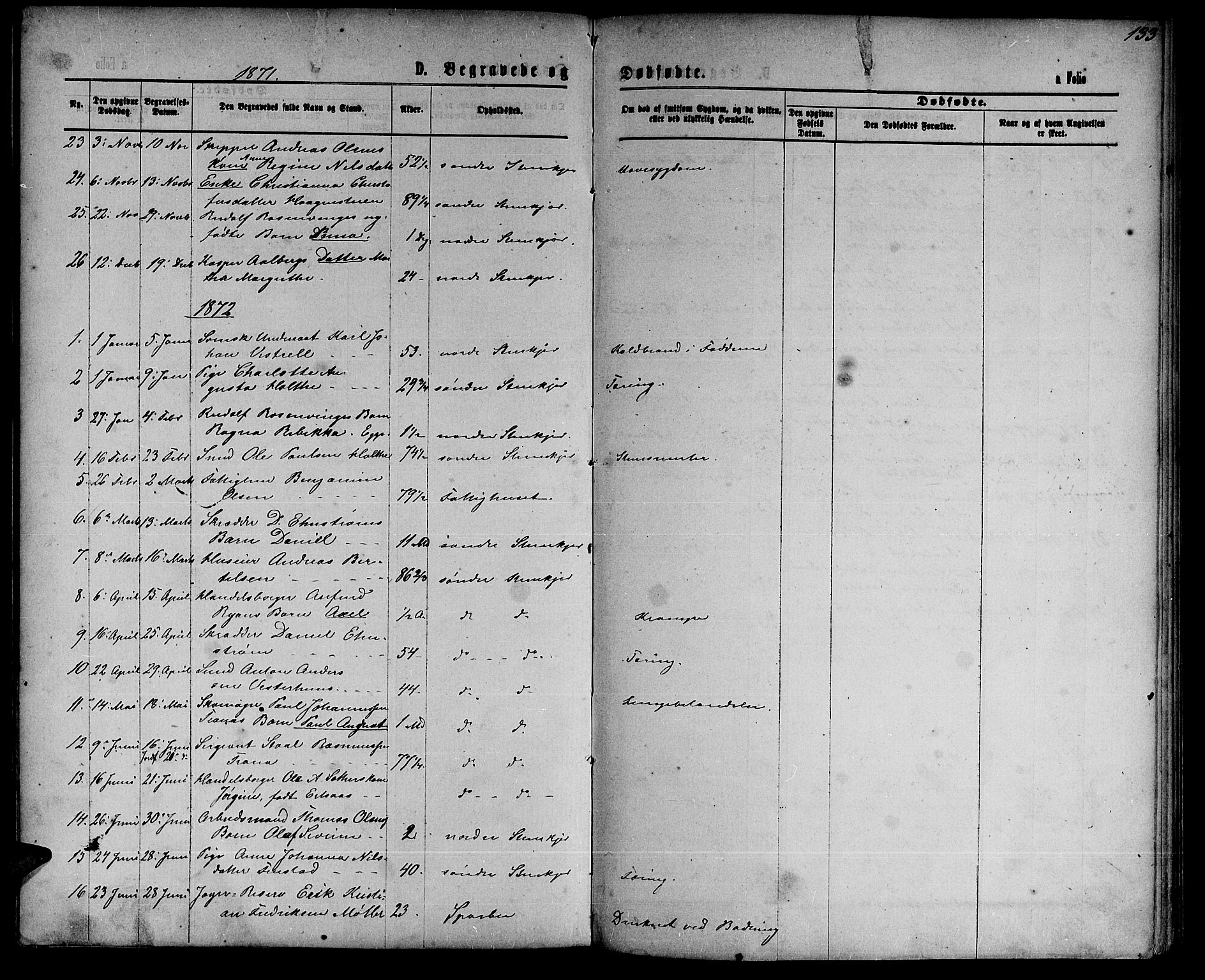 Ministerialprotokoller, klokkerbøker og fødselsregistre - Nord-Trøndelag, SAT/A-1458/739/L0373: Parish register (copy) no. 739C01, 1865-1882, p. 133