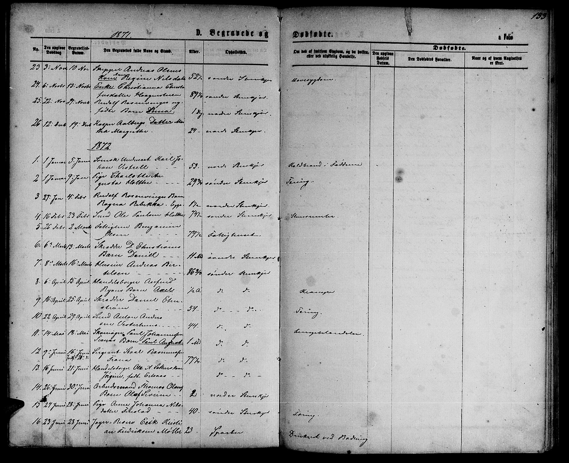 Ministerialprotokoller, klokkerbøker og fødselsregistre - Nord-Trøndelag, AV/SAT-A-1458/739/L0373: Parish register (copy) no. 739C01, 1865-1882, p. 133