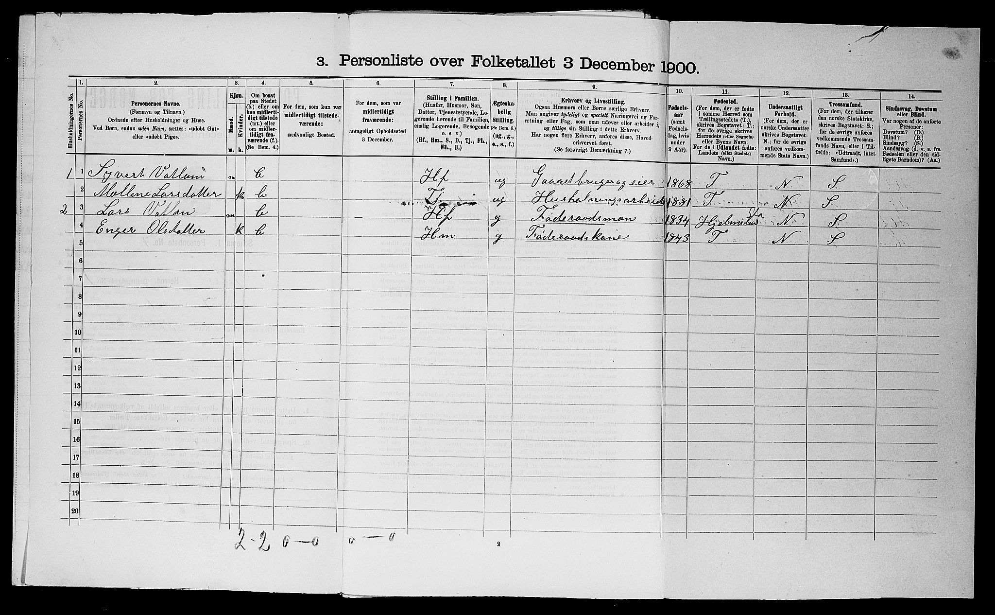 SAST, 1900 census for Jelsa, 1900, p. 50