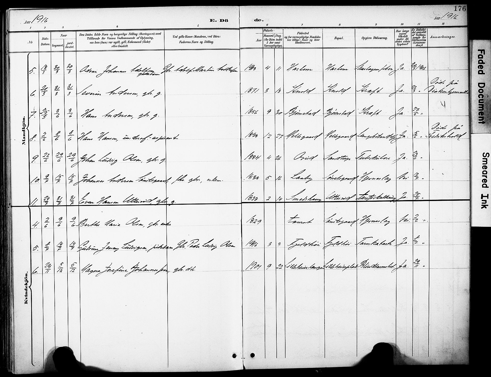 Rakkestad prestekontor Kirkebøker, AV/SAO-A-2008/F/Fb/L0002: Parish register (official) no. II 2, 1900-1920, p. 176