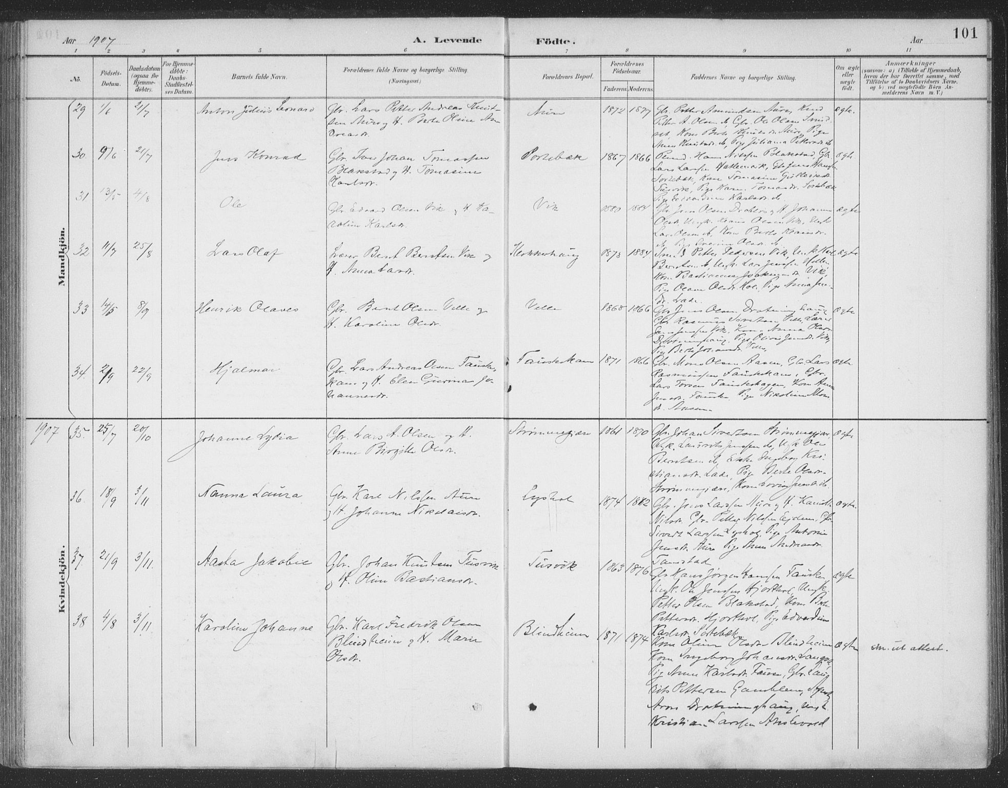 Ministerialprotokoller, klokkerbøker og fødselsregistre - Møre og Romsdal, AV/SAT-A-1454/523/L0335: Parish register (official) no. 523A02, 1891-1911, p. 101