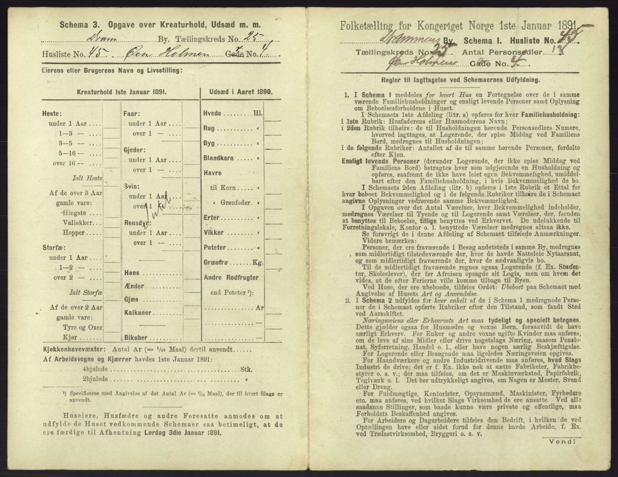 RA, 1891 census for 0602 Drammen, 1891, p. 2163