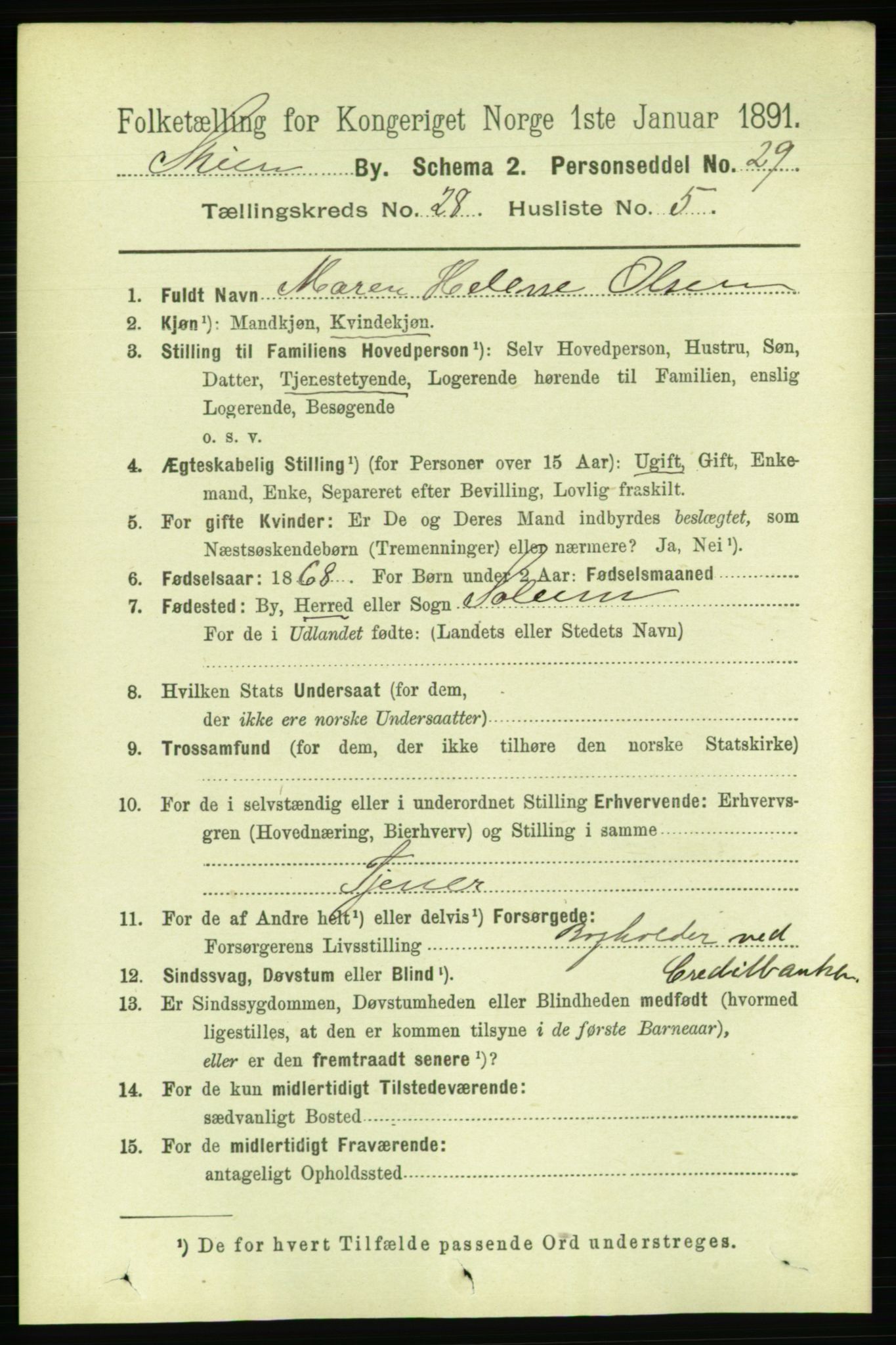 RA, 1891 census for 0806 Skien, 1891, p. 6586