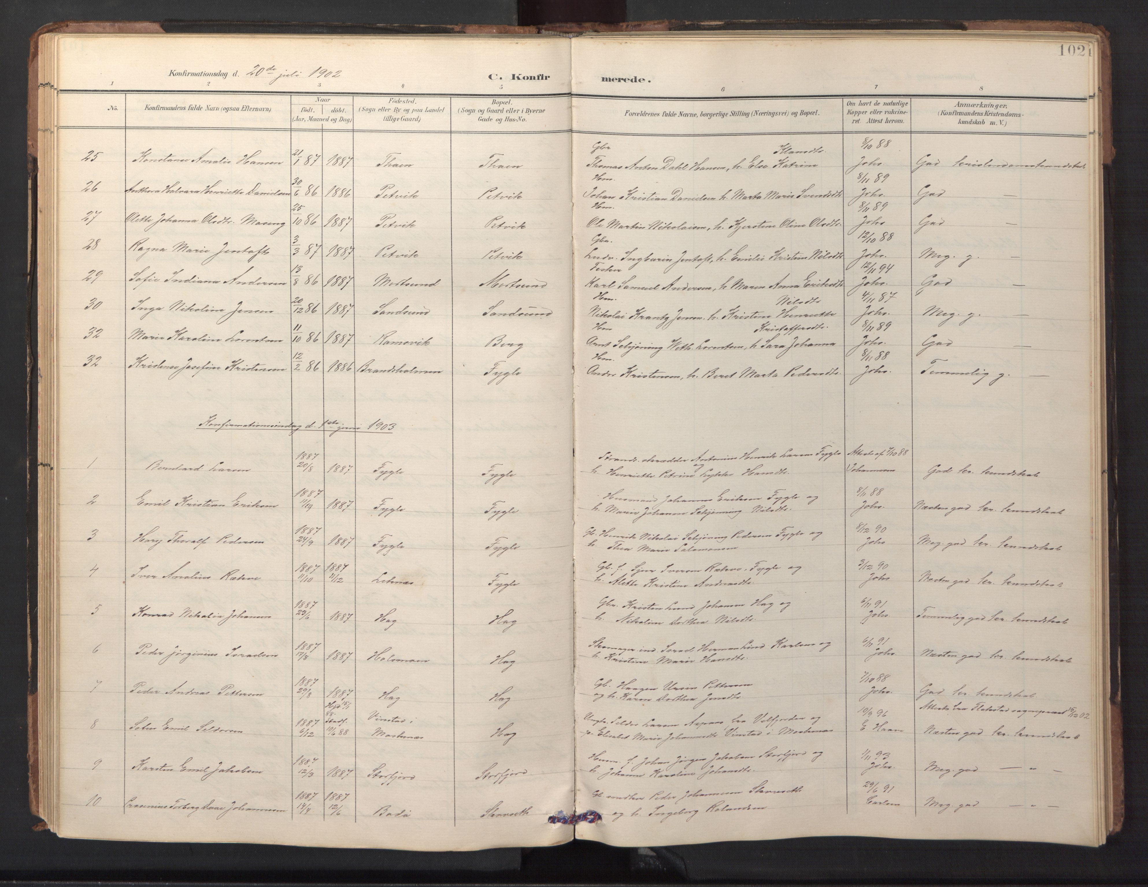 Ministerialprotokoller, klokkerbøker og fødselsregistre - Nordland, AV/SAT-A-1459/882/L1185: Parish register (copy) no. 882C03, 1898-1910, p. 102