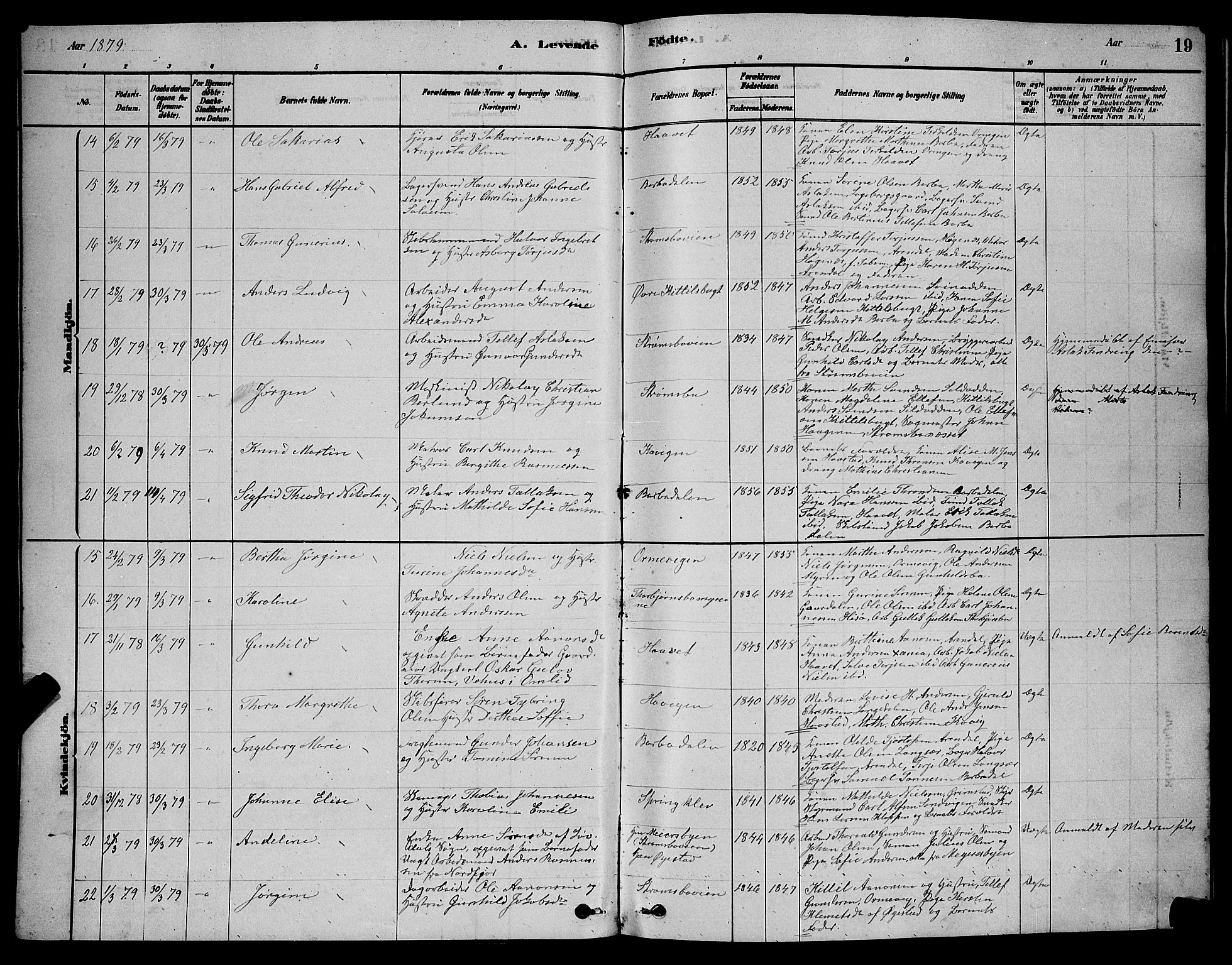 Barbu sokneprestkontor, AV/SAK-1111-0003/F/Fb/L0001: Parish register (copy) no. B 1, 1878-1890, p. 19