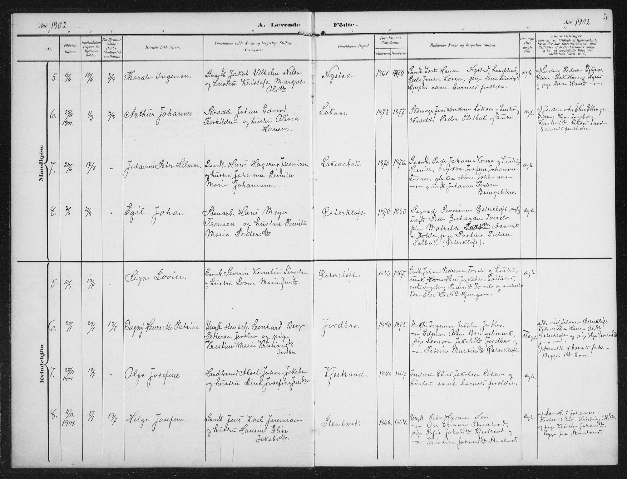 Ministerialprotokoller, klokkerbøker og fødselsregistre - Nordland, AV/SAT-A-1459/851/L0726: Parish register (copy) no. 851C01, 1902-1924, p. 5