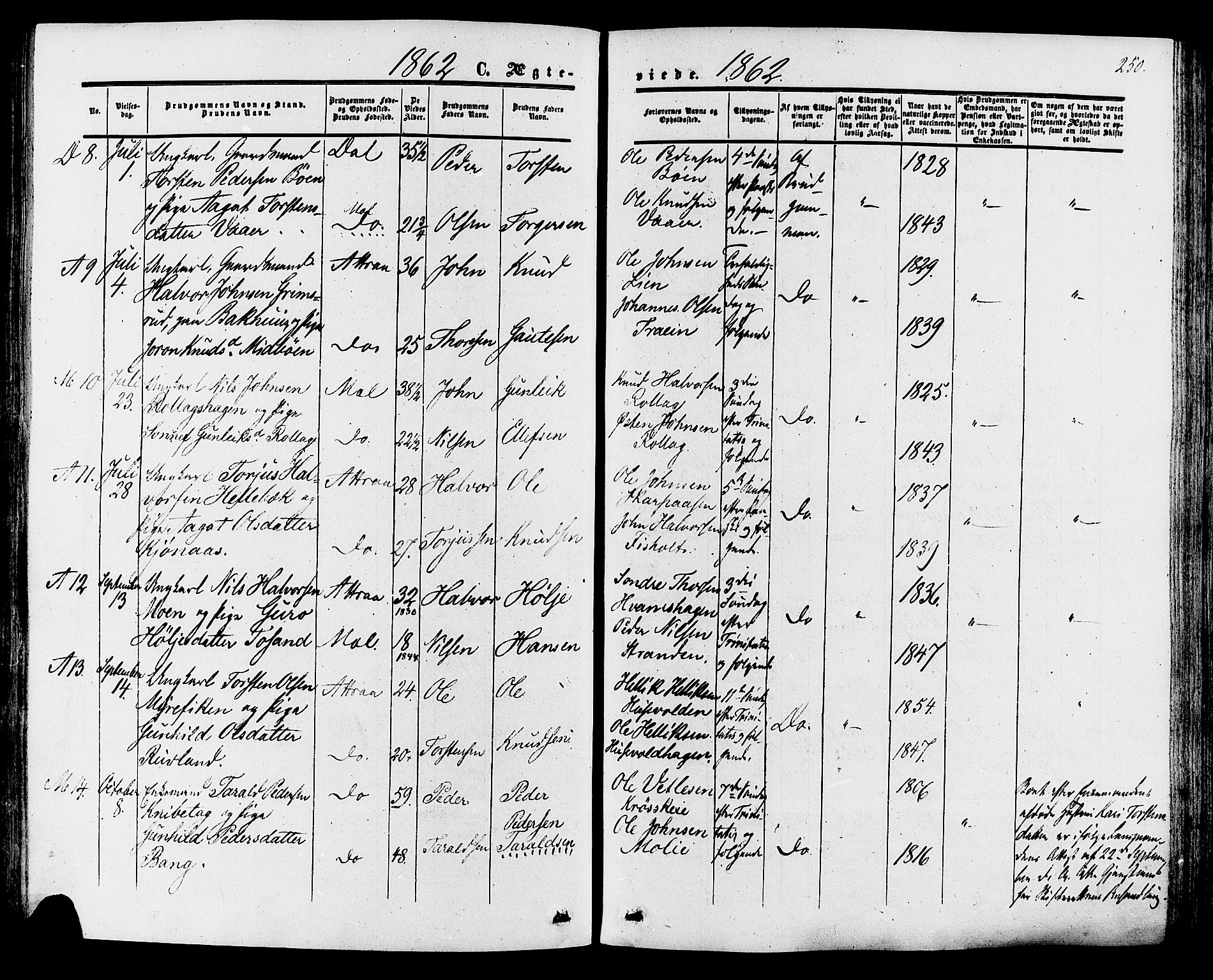 Tinn kirkebøker, SAKO/A-308/F/Fa/L0006: Parish register (official) no. I 6, 1857-1878, p. 250