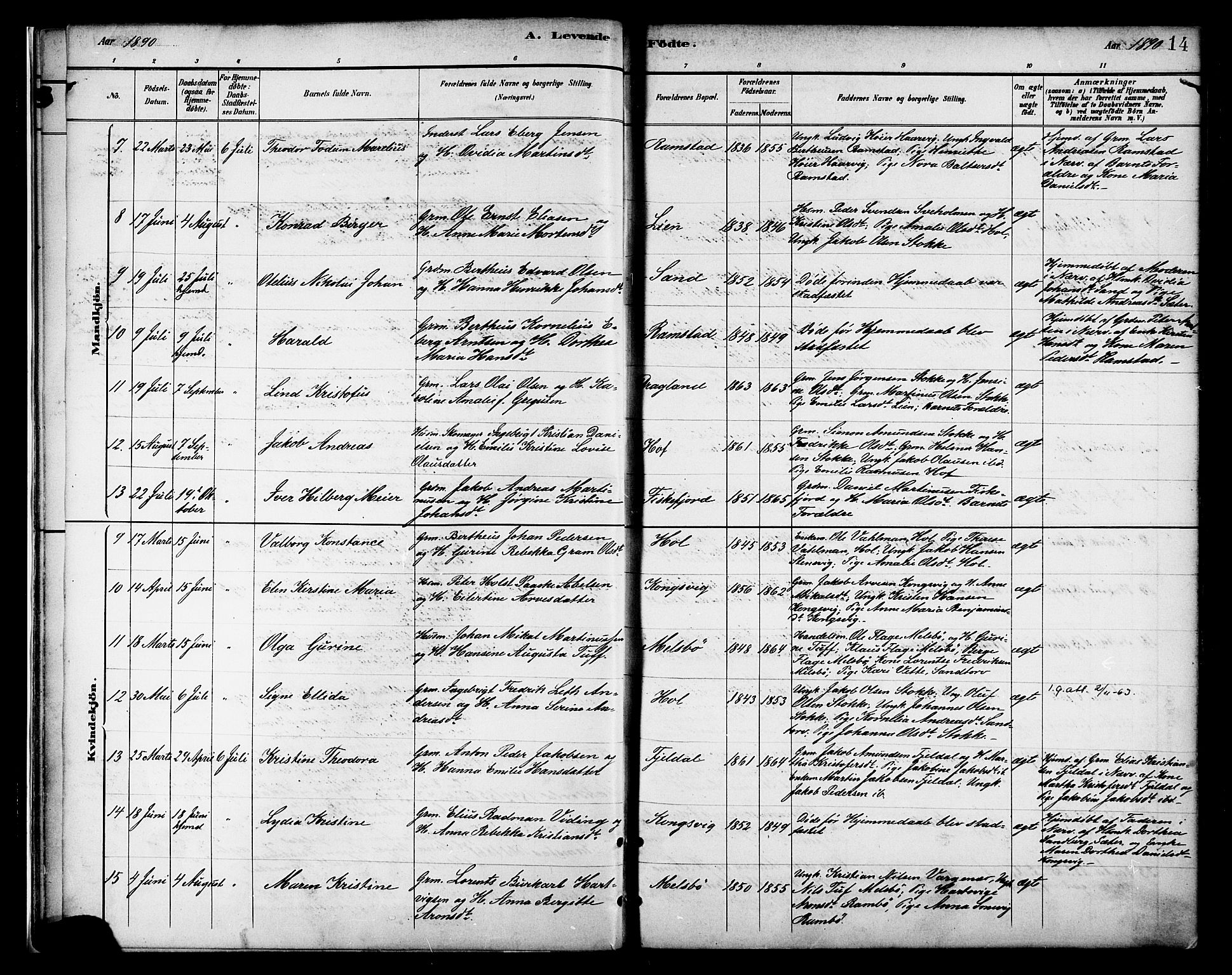 Ministerialprotokoller, klokkerbøker og fødselsregistre - Nordland, AV/SAT-A-1459/865/L0924: Parish register (official) no. 865A02, 1885-1896, p. 14