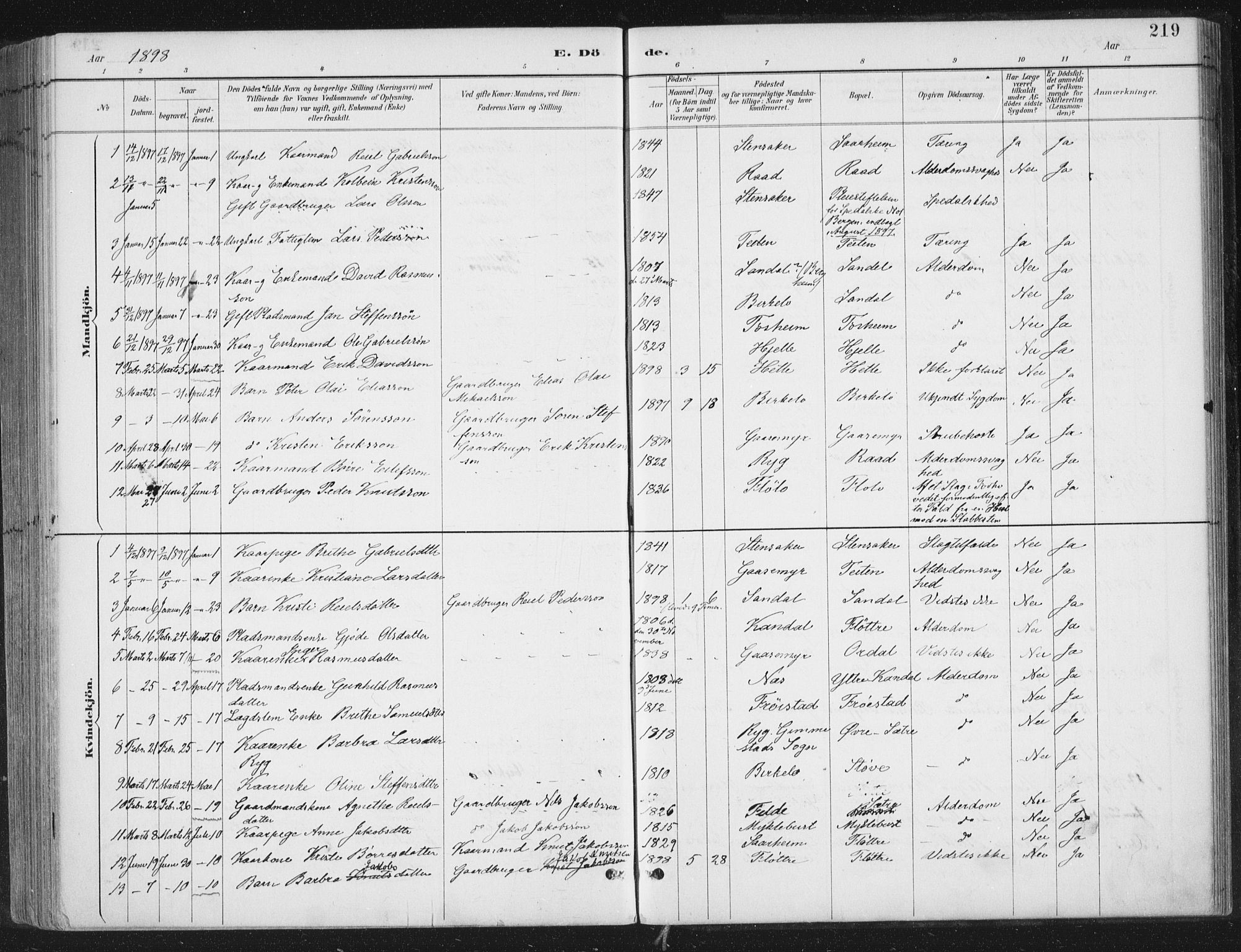 Gloppen sokneprestembete, SAB/A-80101/H/Haa/Haac/L0002: Parish register (official) no. C  2, 1887-1904, p. 219