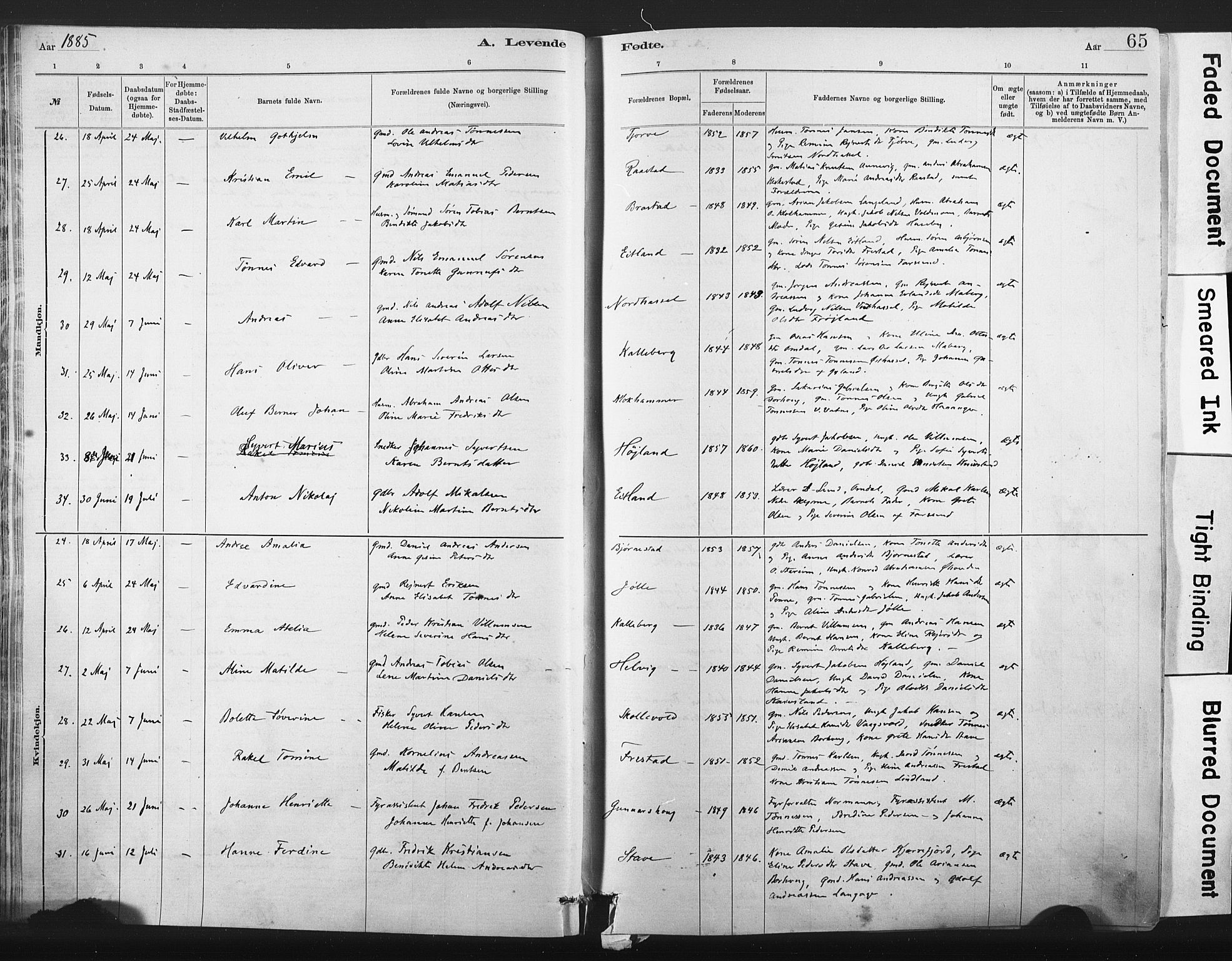 Lista sokneprestkontor, AV/SAK-1111-0027/F/Fa/L0012: Parish register (official) no. A 12, 1879-1903, p. 65