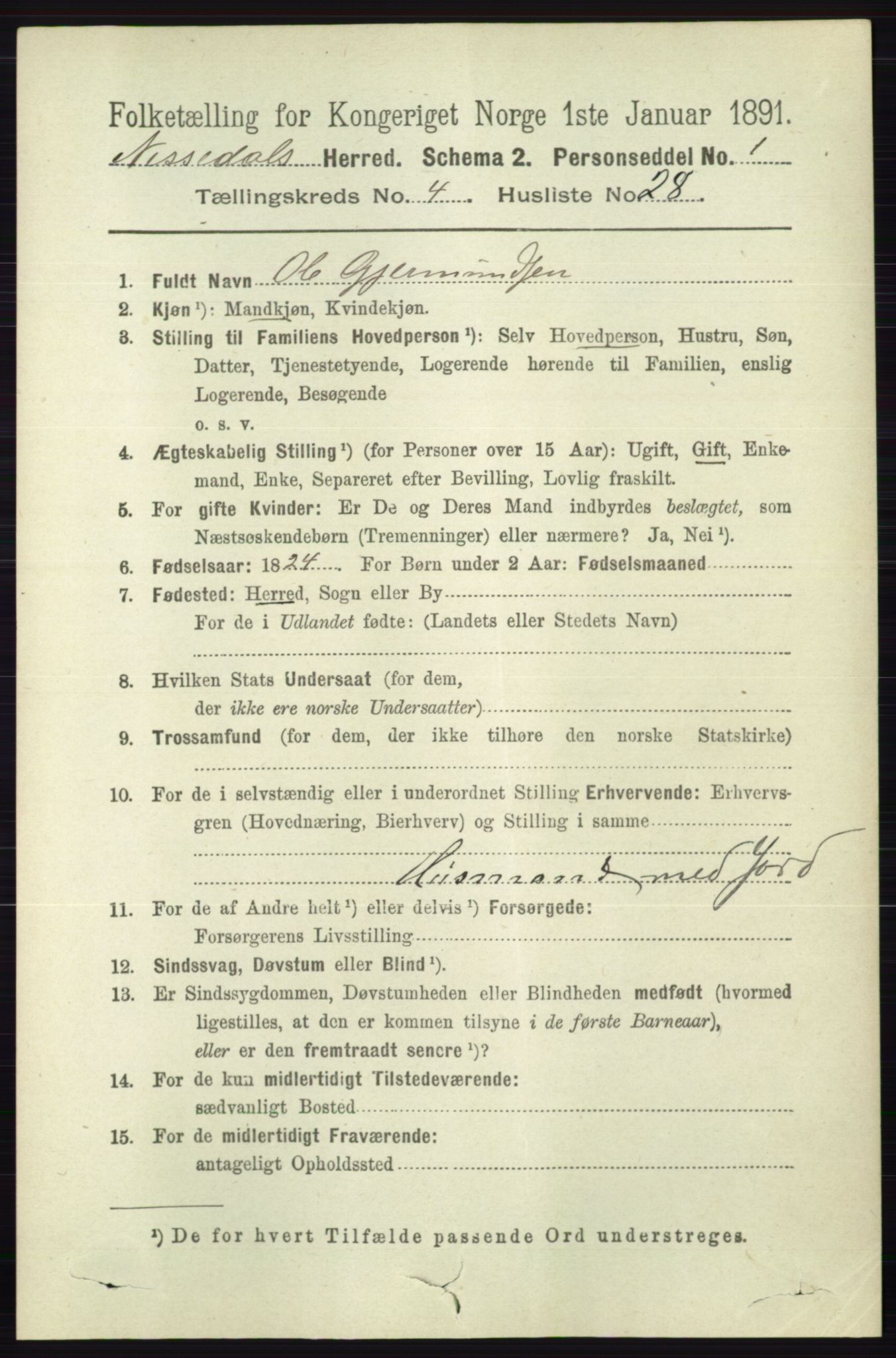 RA, 1891 census for 0830 Nissedal, 1891, p. 1052