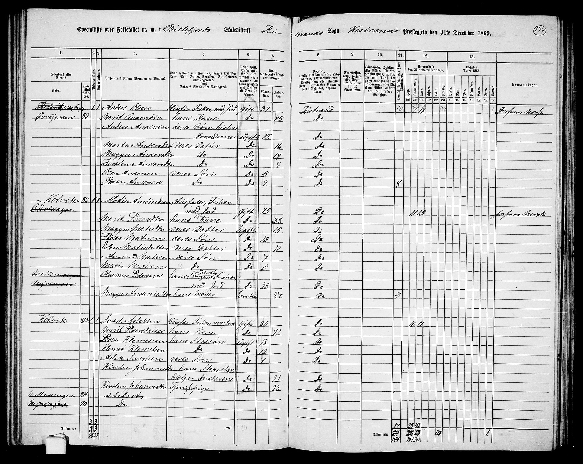 RA, 1865 census for Kistrand, 1865, p. 25