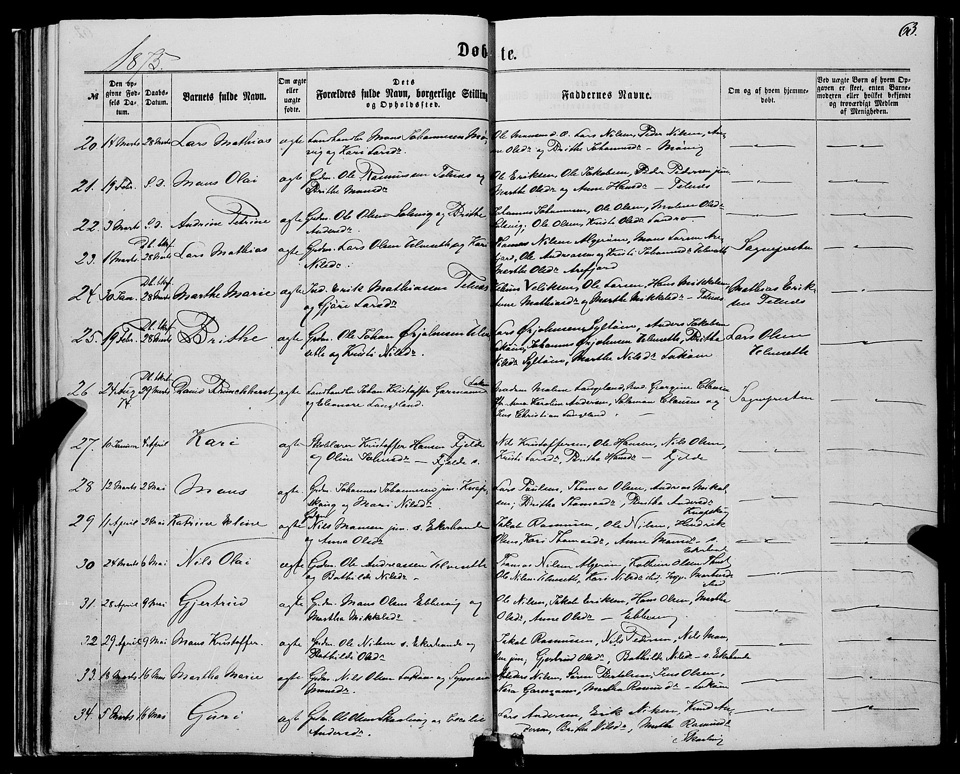 Fjell sokneprestembete, SAB/A-75301/H/Haa: Parish register (official) no. A 3, 1864-1877, p. 63