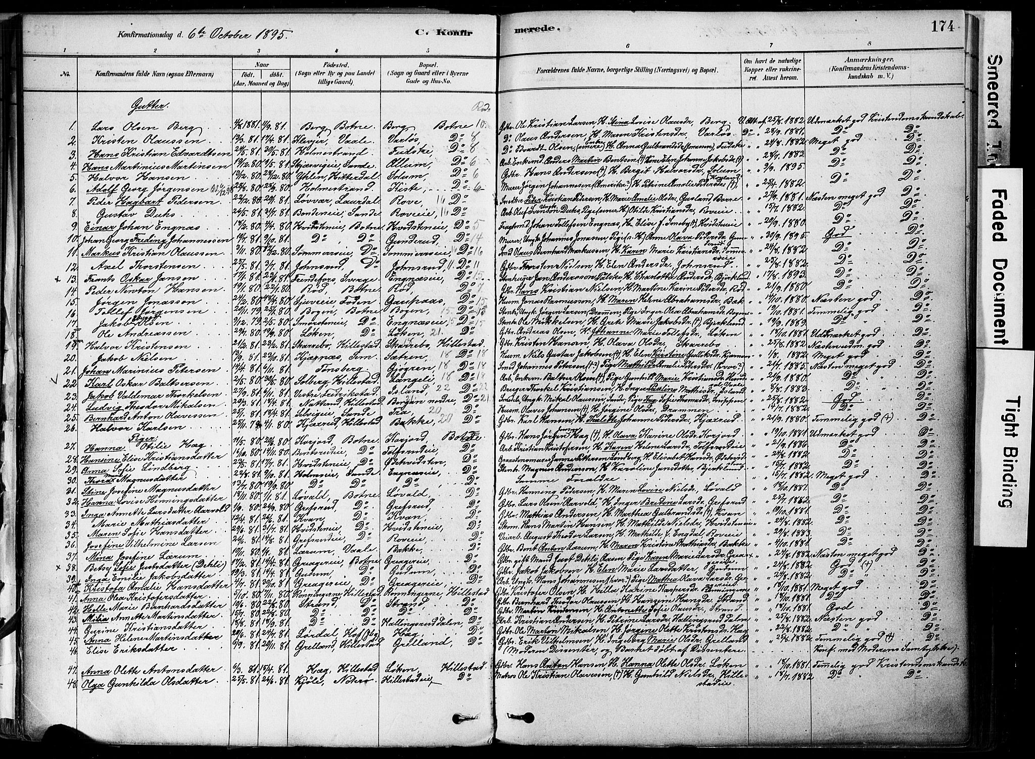 Botne kirkebøker, AV/SAKO-A-340/F/Fa/L0007: Parish register (official) no. I 7, 1878-1910, p. 174
