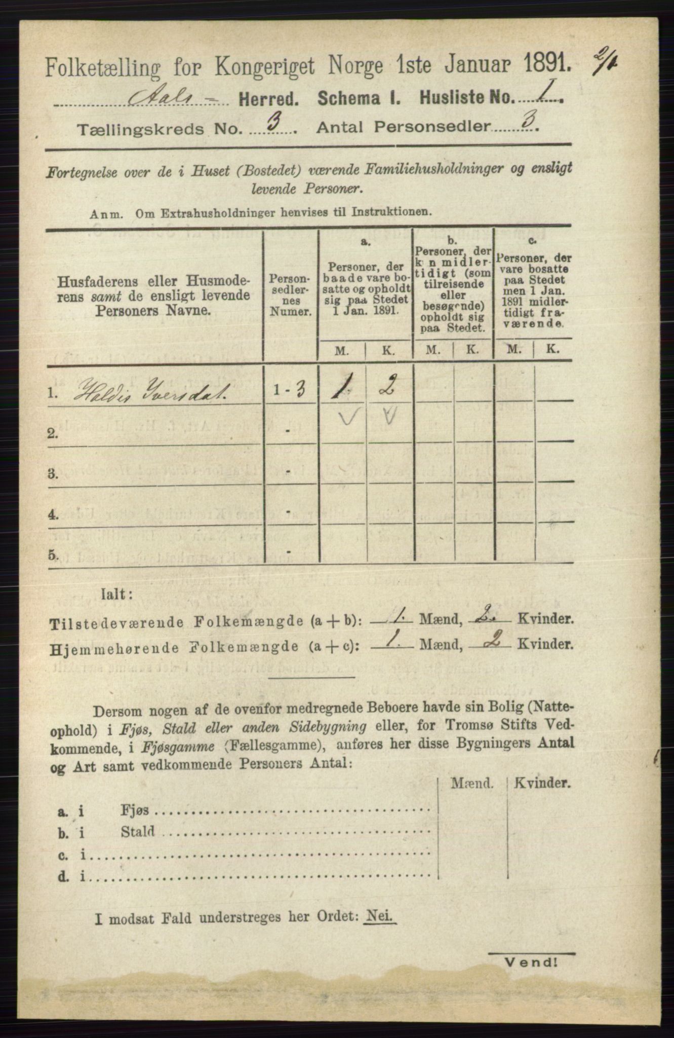 RA, 1891 census for 0619 Ål, 1891, p. 595