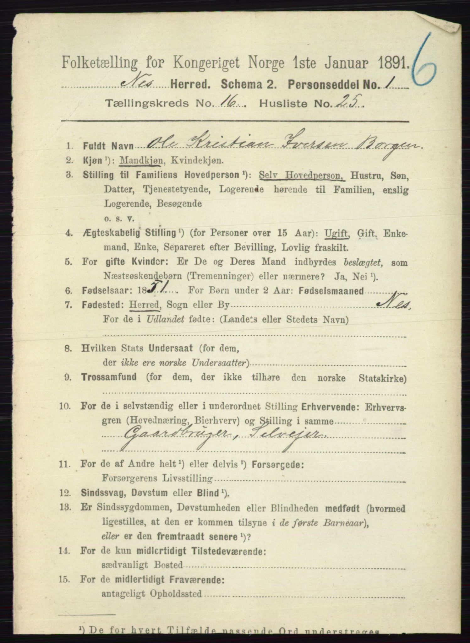 RA, 1891 census for 0236 Nes, 1891, p. 9698
